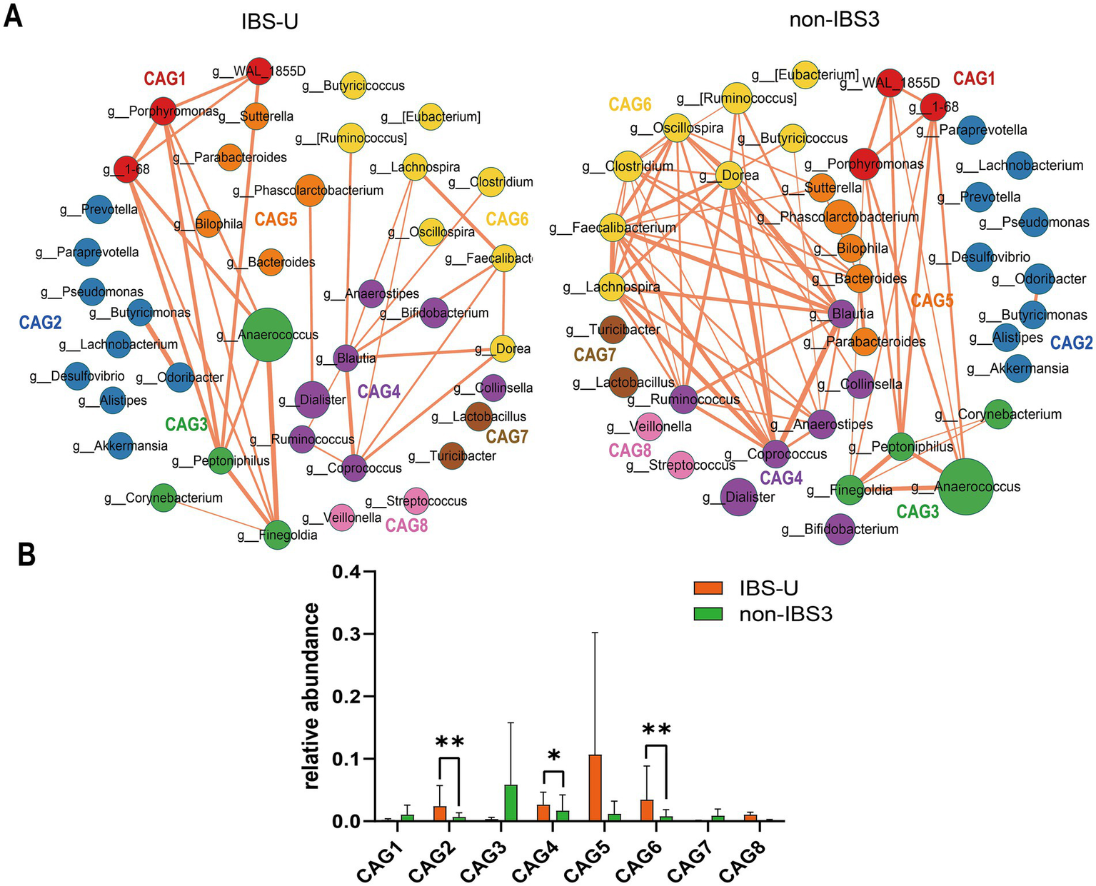 Network diagram and bar chart showing microbial communities for IBS-U and non-IBS3 groups. Panel A displays interconnected nodes representing different genera and their associations. Panel B presents a bar chart comparing relative abundance of microbial communities between IBS-U (orange) and non-IBS3 (green), with significant differences indicated by asterisks.