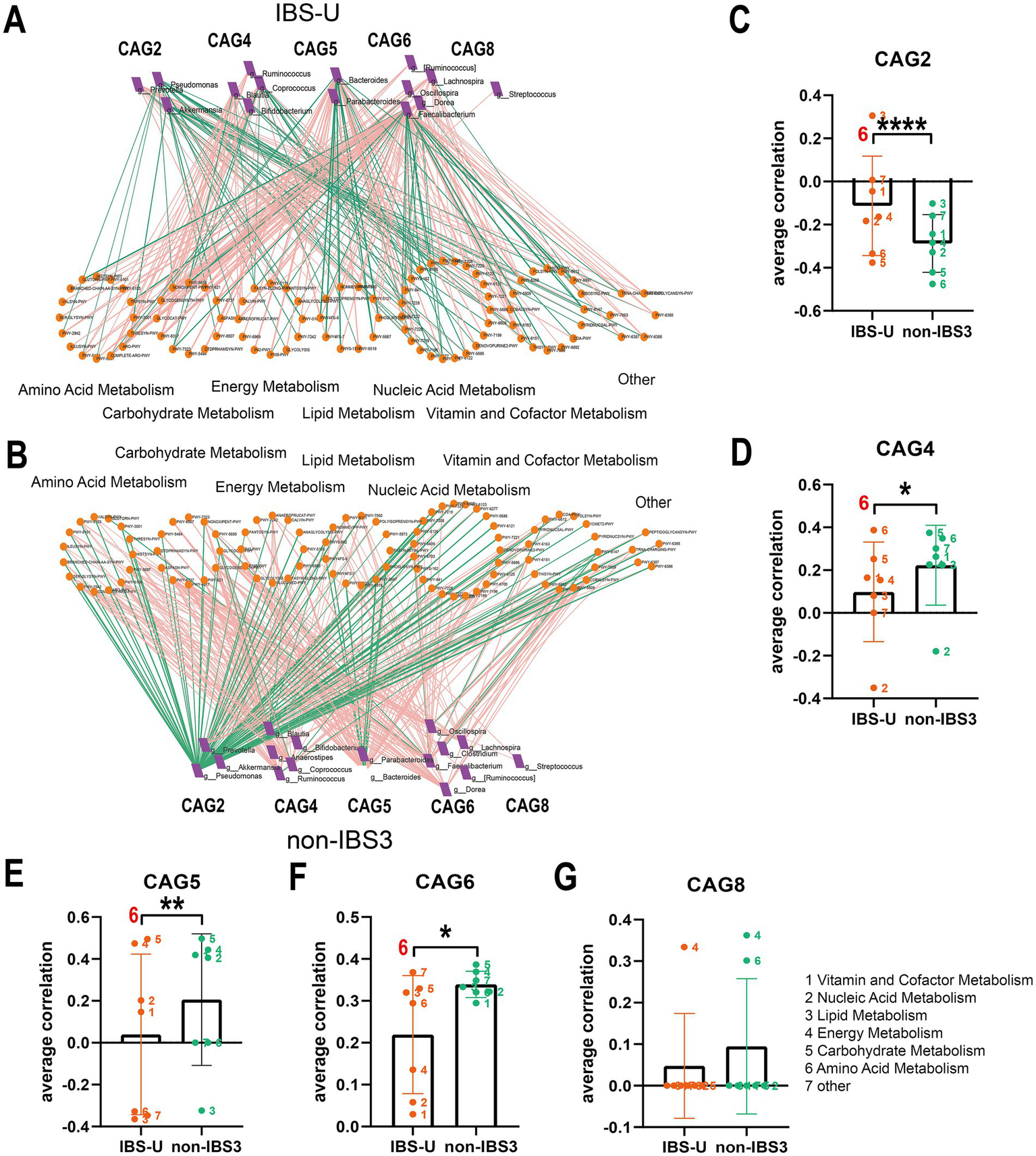 Network diagrams and bar charts analyze metabolite sets and correlations between bacterial taxa for IBS-U and non-IBS3 groups. Panels A and B show metabolic pathways linked to CAG groups with orange nodes. Panels C to G present bar charts indicating the average correlation for different CAGs, featuring statistical significance with asterisks.