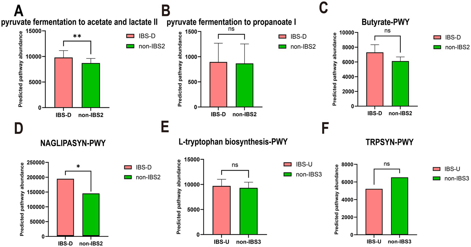 Bar graphs labeled A to F compare predicted pathway abundance between IBS and non-IBS groups. A and D show significant differences, marked by asterisks, while B, C, E, and F show no significant differences, marked as "ns". Each panel shows results for different pathways, with IBS groups in pink and non-IBS groups in green.