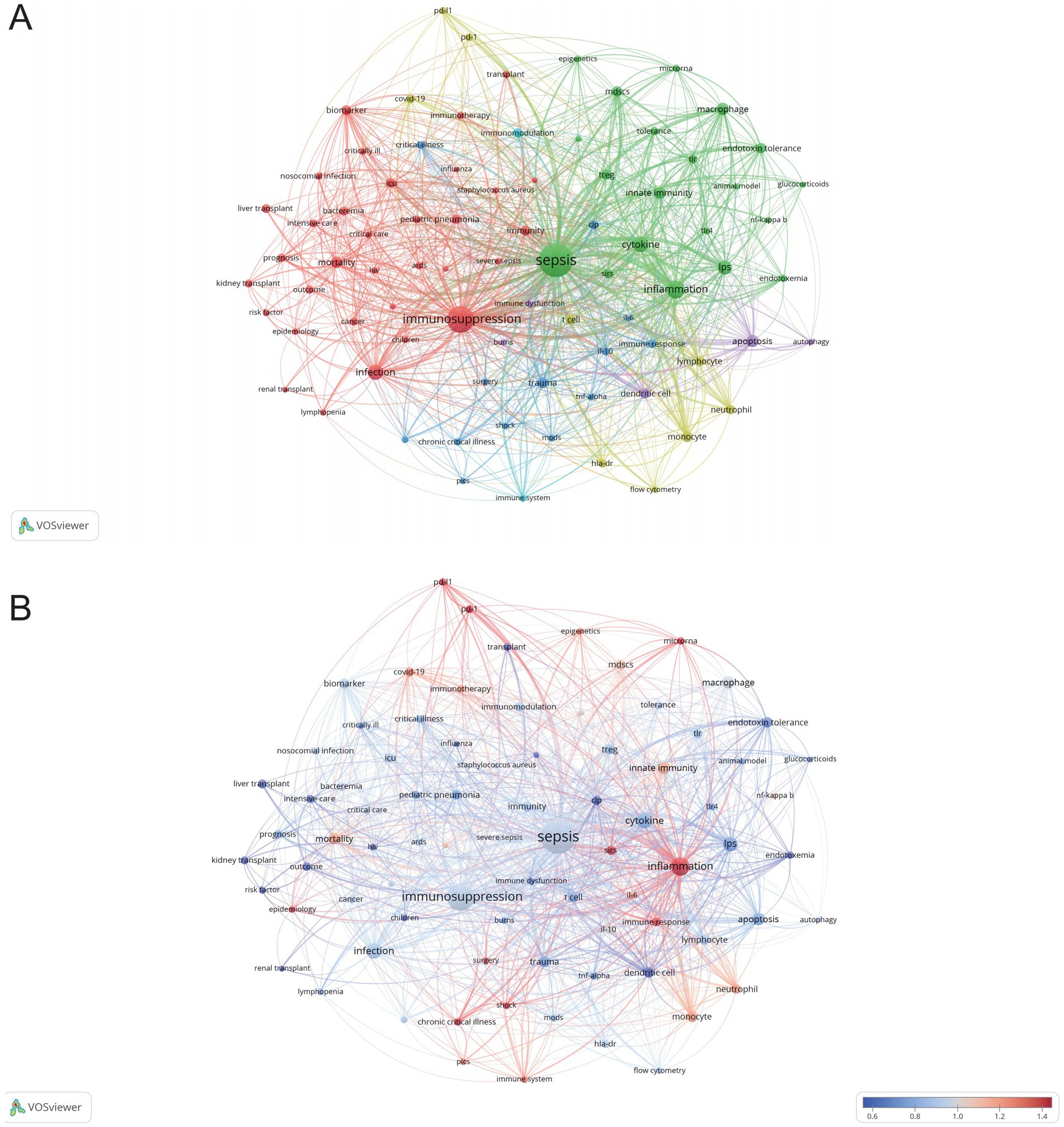 Network diagrams labeled A and B visualize relationships between terms such as