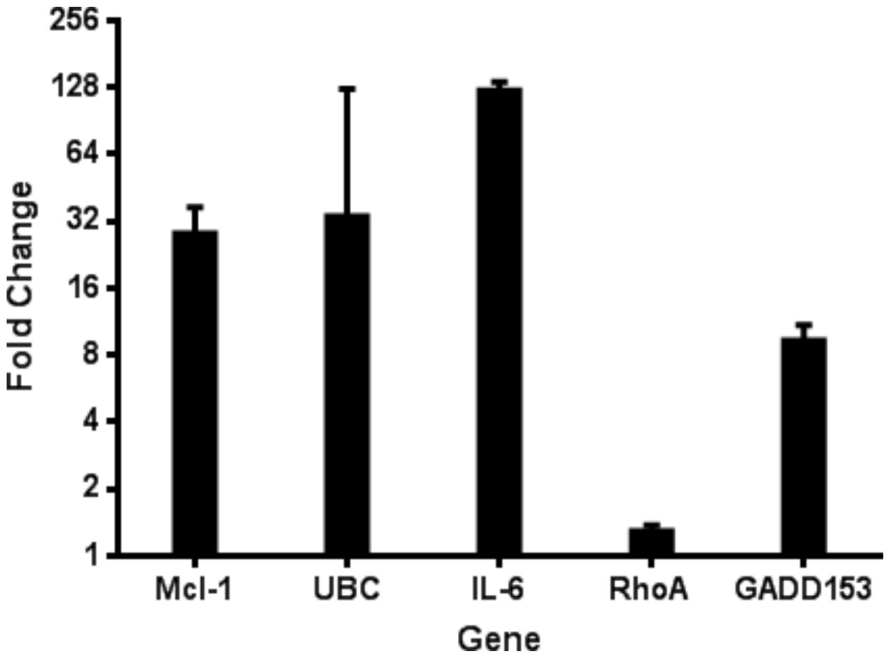 Bar graph showing fold change of five genes: Mcl-1, UBC, IL-6, RhoA, and GADD153. IL-6 has the highest fold change, followed by UBC, GADD153, Mcl-1, and RhoA, which has the lowest. Bars depict standard error.