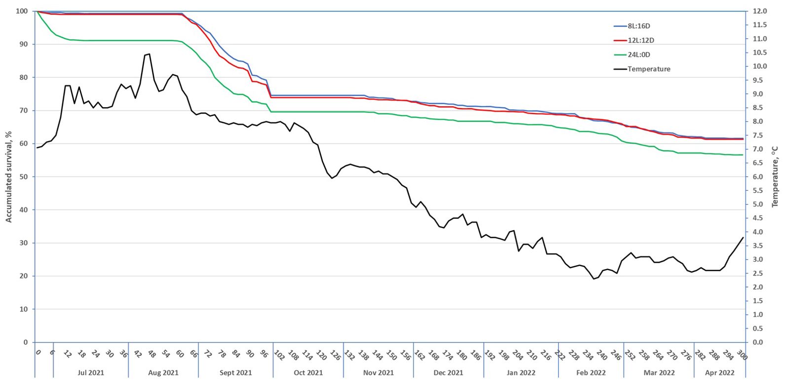Line graph showing accumulated survival percentages and temperature from June 2021 to April 2022. The three colored lines represent survival under different light smoltification regimes: 8L:16D (blue), 12L:12D (red), and 24L:0D (green). A black line shows temperature changes over the same period in degrees Celsius. The survival percentages generally decrease, while temperature first increase and thereafter decrease.