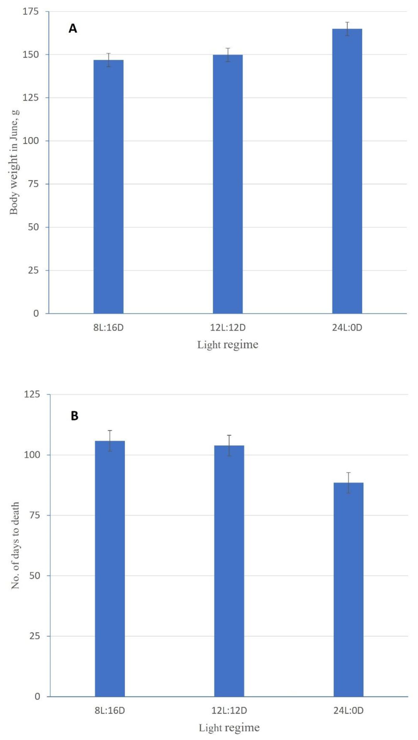 Bar charts of means, with standard error lines, for body weight in June 2021 and for number of days to death in period 1 (day 0 to 135 after seawater transfer) for each of the three light smoltification regimes: 8L:16D, 12L:12D, and 24L:0D.