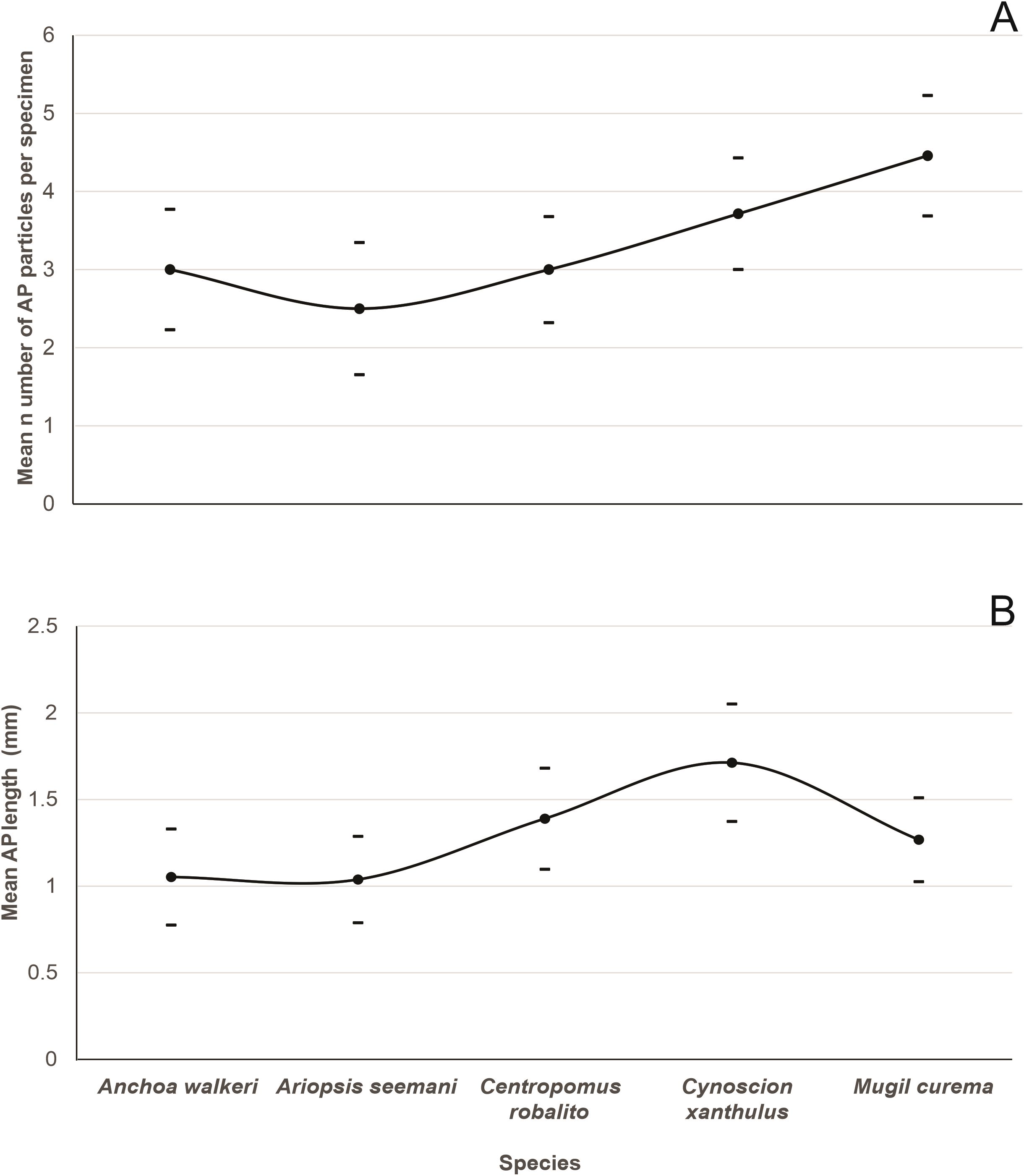 Line graphs labeled A and B investigate the relationship between species and AP particles. Graph A shows mean number of particles per specimen; it increases across species. Graph B displays mean AP length in millimeters; it fluctuates, peaking with “Cynoscion xanthulus” before decreasing.