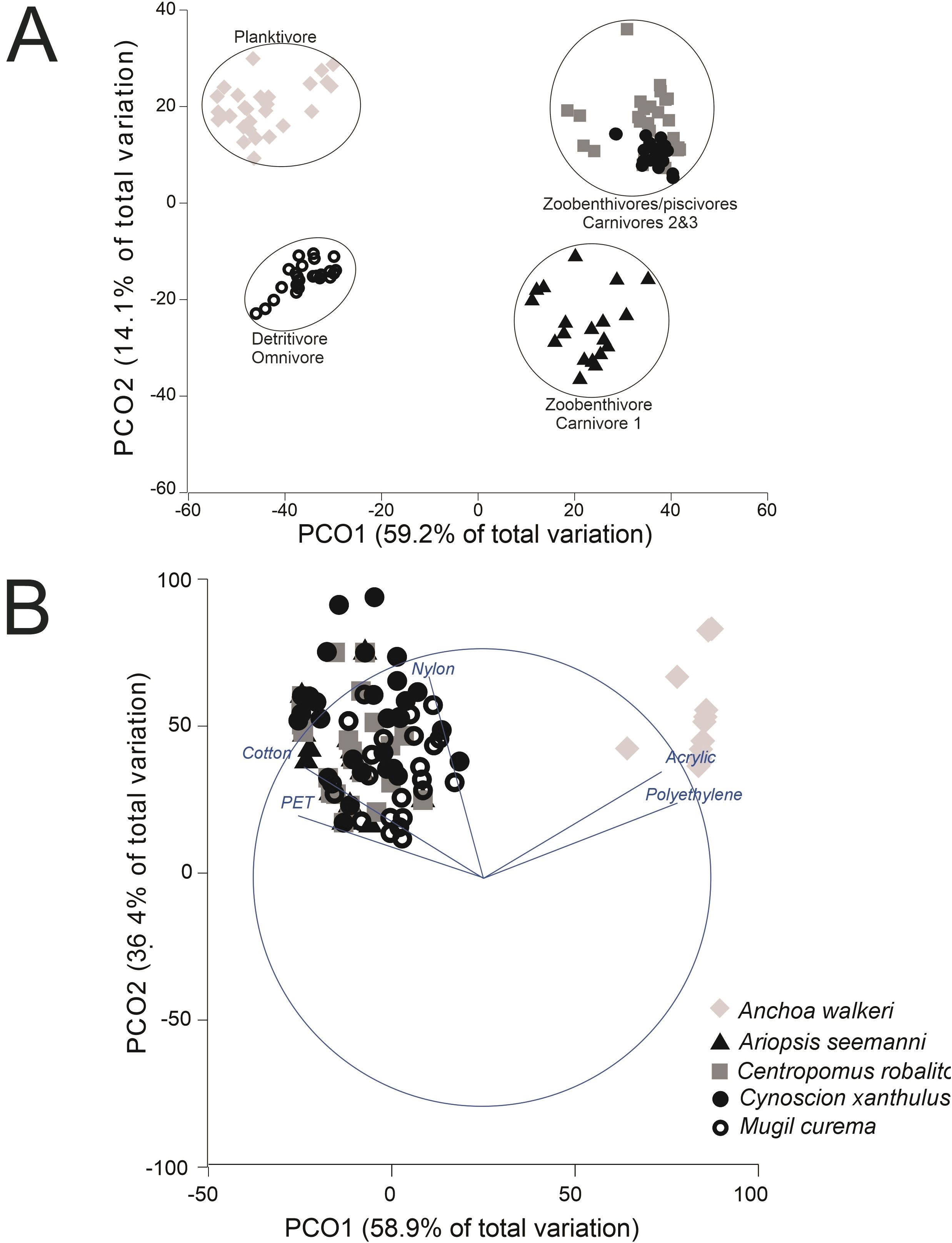Two plots labeled A and B depict the principal coordinate analysis (PCO) of total variation. Plot A displays clustering of fish species by diet categories, including plankivores, detritivore omnivores, and carnivores. Plot B shows different species symbolized by shapes with concentrations in specific areas, labeled by materials like nylon, cotton, PET, acrylic, and polyethylene. Axes represent PCO1 and PCO2 with percentages of total variation.