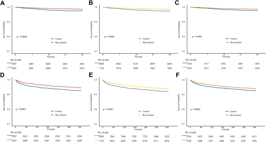 Kaplan-Meier survival curves comparing control and beta blocker groups across three periods (A, B, C: 28 days; D, E, F: 360 days). Plots A and D show a significant difference with p = 0.0046 and p = 0.0063, respectively. Plots B, C, E, and F show differences with p < 0.0001. Survival probability decreases over time for both groups, with slightly different patterns and sample sizes indicated below each graph.