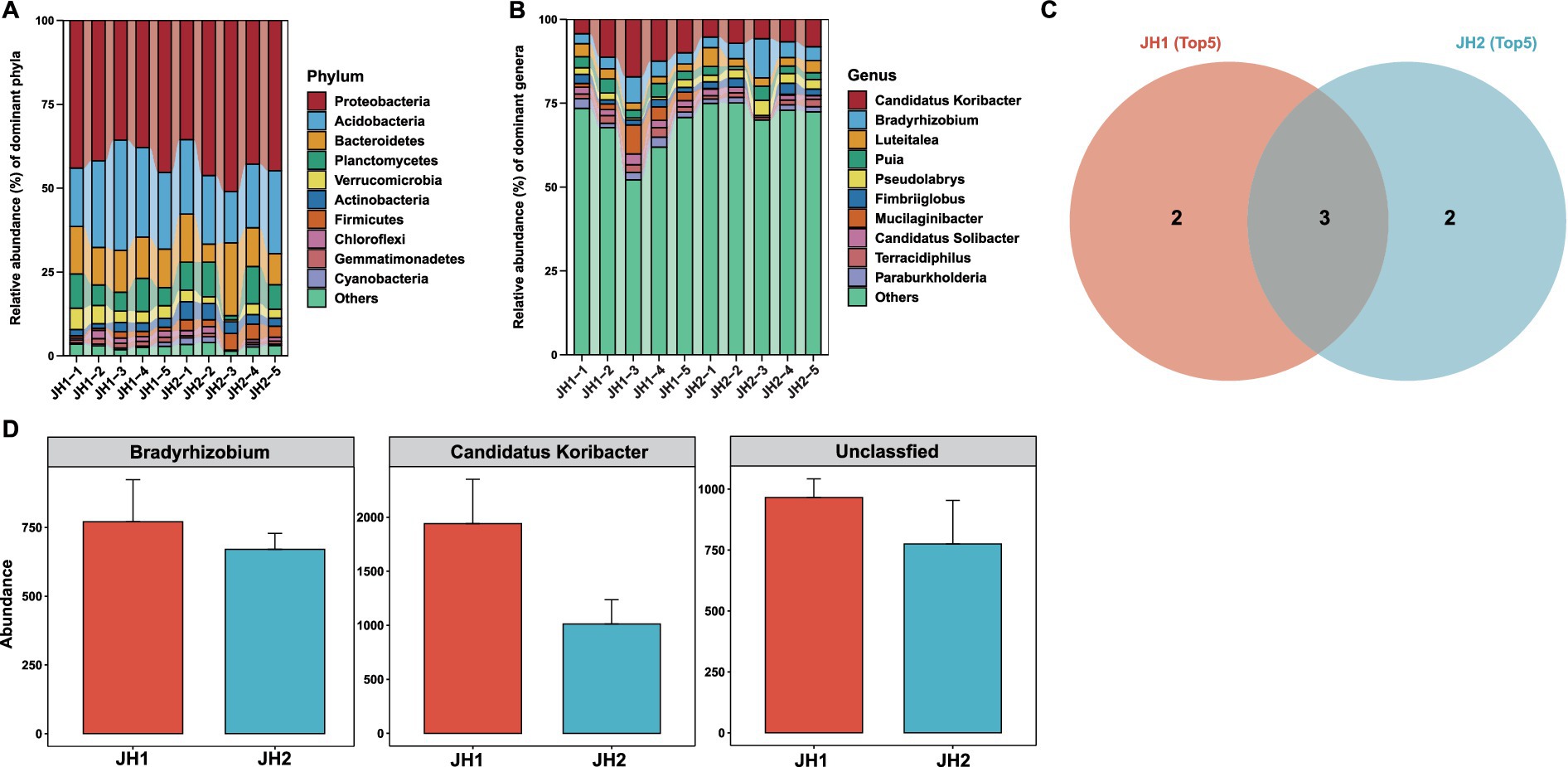 Bar charts and a Venn diagram show microbial community analysis. (A) Relative abundance of dominant phyla. (B) Relative abundance of dominant genera. (C) Venn diagram comparing JH1 and JH2 groups. (D) Abundance comparison of Bradyrhizobium, Candidatus Koribacter, and unclassified bacteria between JH1 and JH2. (E) Relative abundance of predicted function terms in microbial communities. Each section uses color coding for categorical distinctions.