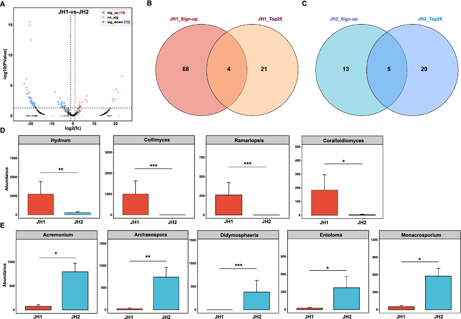 A series of graphs comparing fungal signature differences between JH1 and JH2 samples. Panel A shows a volcano plot with upregulated and downregulated genes. Panels B and C have Venn diagrams illustrating gene overlaps. Panel D features bar charts of fungal abundances in JH1 versus JH2 for Hydnum, Collymyces, Ramariopsis, and Coralloidomyces. Panel E has bar charts for Acremonium, Archaeospora, Didymosphaeria, Entoloma, and Monacrosporium. Significance levels are marked with asterisks.