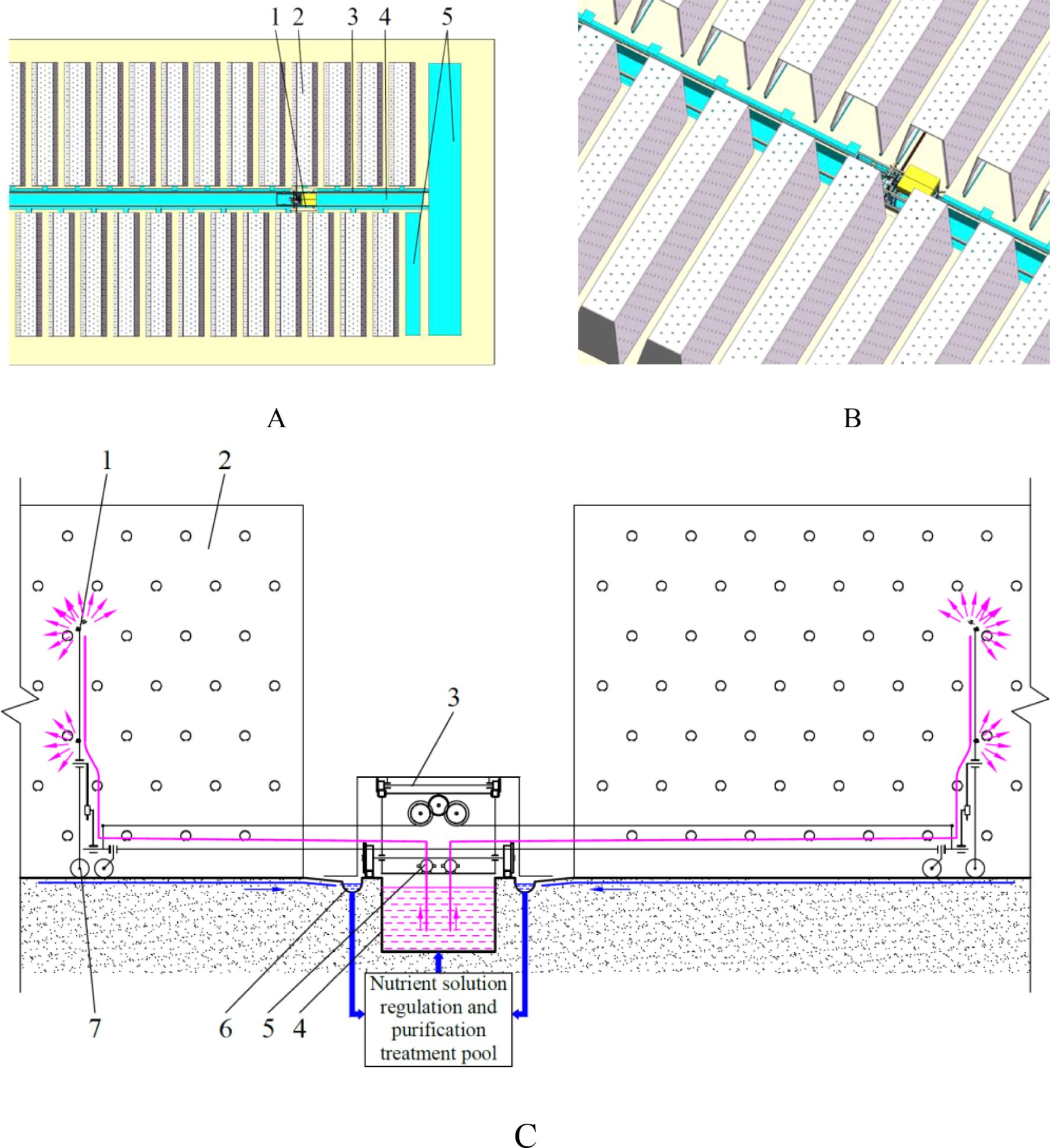 Diagram illustrating an agricultural system with three panels: A, B, and C. Panel A shows a top view of parallel rows labeled 1 to 5. Panel B displays a perspective view of these rows. Panel C illustrates a cross-section, highlighting nutrient solution regulation and purification treatment pool, with labeled components including pipes and sprinklers.