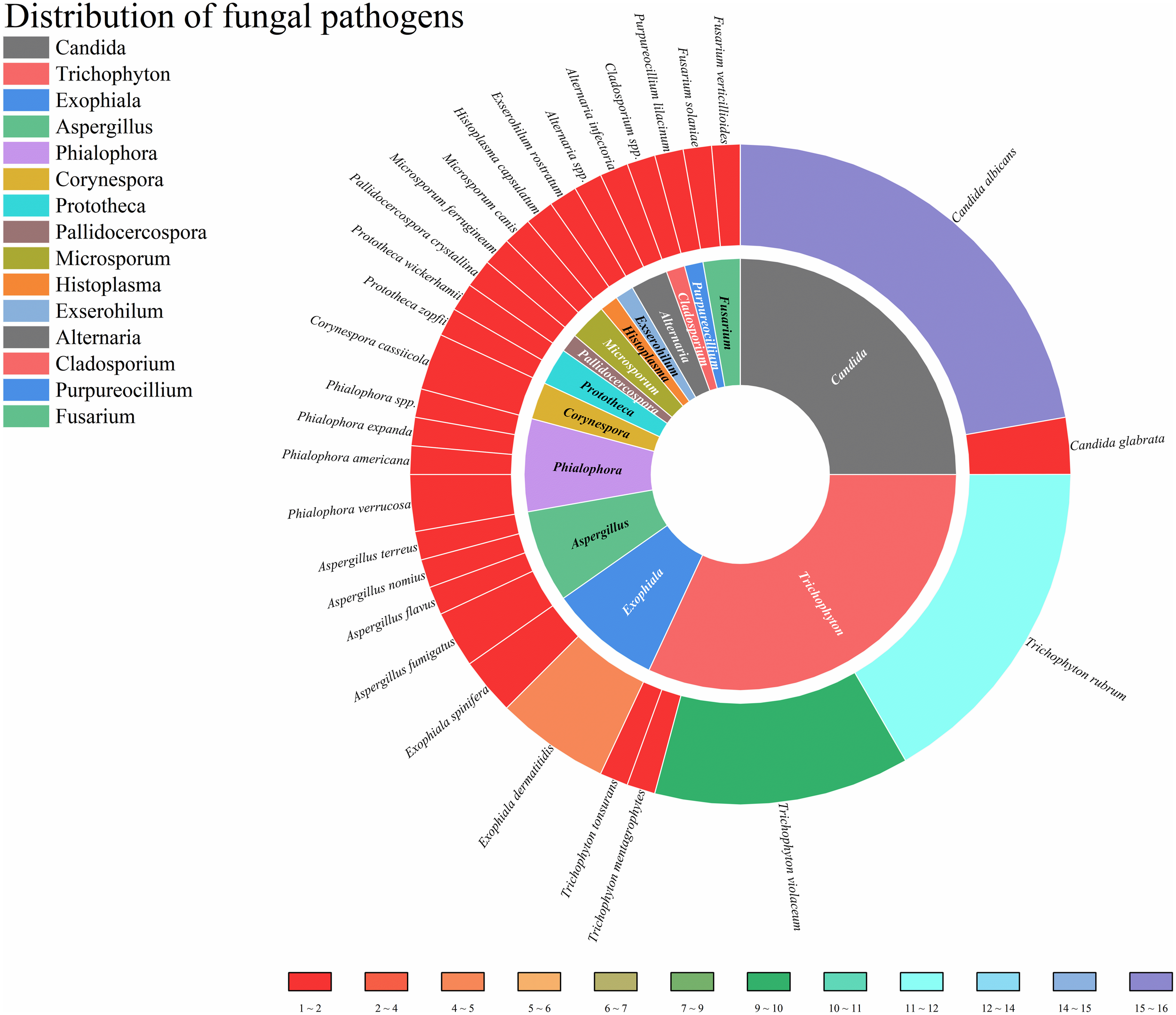 Circular chart illustrating the distribution of fungal pathogens. The chart features segments representing different pathogens, such as Candida, Trichophyton, and Aspergillus, with varying shades indicating their prevalence. A color legend at the bottom denotes prevalence ranges from one to sixteen.