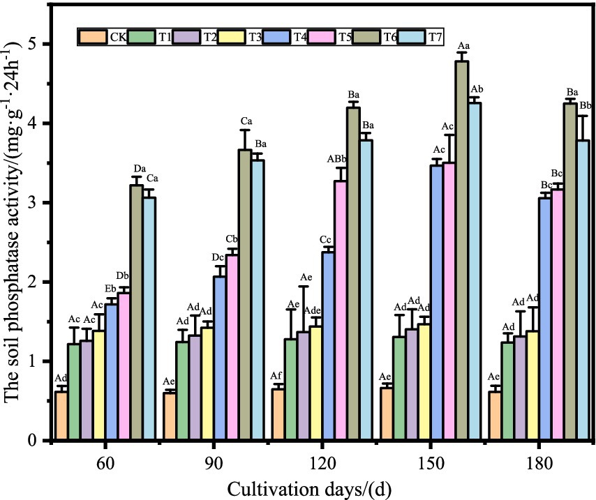 Bar chart showing soil phosphatase activity over six cultivation periods: 60, 90, 120, 150, and 180 days. Each period has seven treatments (CK, T1-T7), represented by different colored bars. The activity, measured in milligrams per gram per 24 hours, generally increases with time. Treatment T7 shows the highest activity, particularly on days 150 and 180.