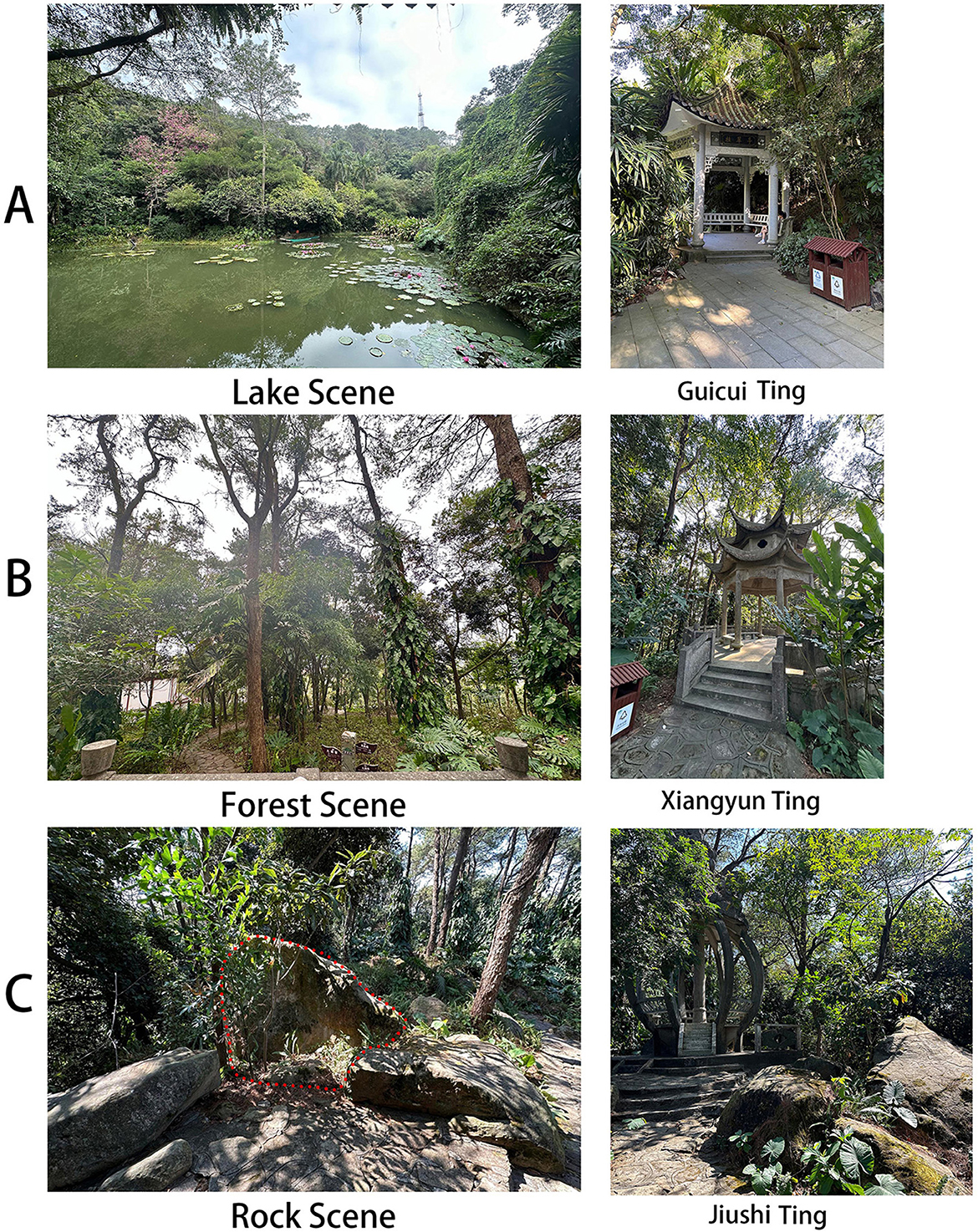 A composite image with three sections. A: A lake with lily pads, surrounded by lush greenery; a nearby Guicui Ting pavilion. B: A dense forest with sunlight filtering through trees; nearby, steps lead to Xiangyun Ting pavilion. C: A rocky area marked with a dashed red line; next to it stands Jiushi Ting pavilion surrounded by trees.