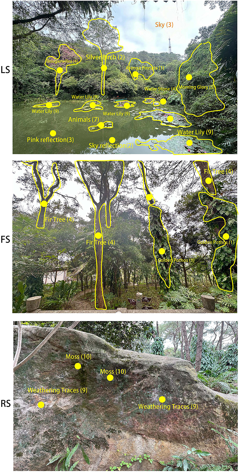 Three labeled images depicting a nature scene. Top image (LS) shows a pond surrounded by labeled elements such as Bougainvillea, Silver Birch, Arenga Pinnata, Water Stone, Morning Glory, Water Lily, and reflections, with open sky above. Middle image (FS) displays a forested area with Fir Trees and Golden Pathos. Bottom image (RS) highlights a rocky surface with weathering traces and patches of moss.
