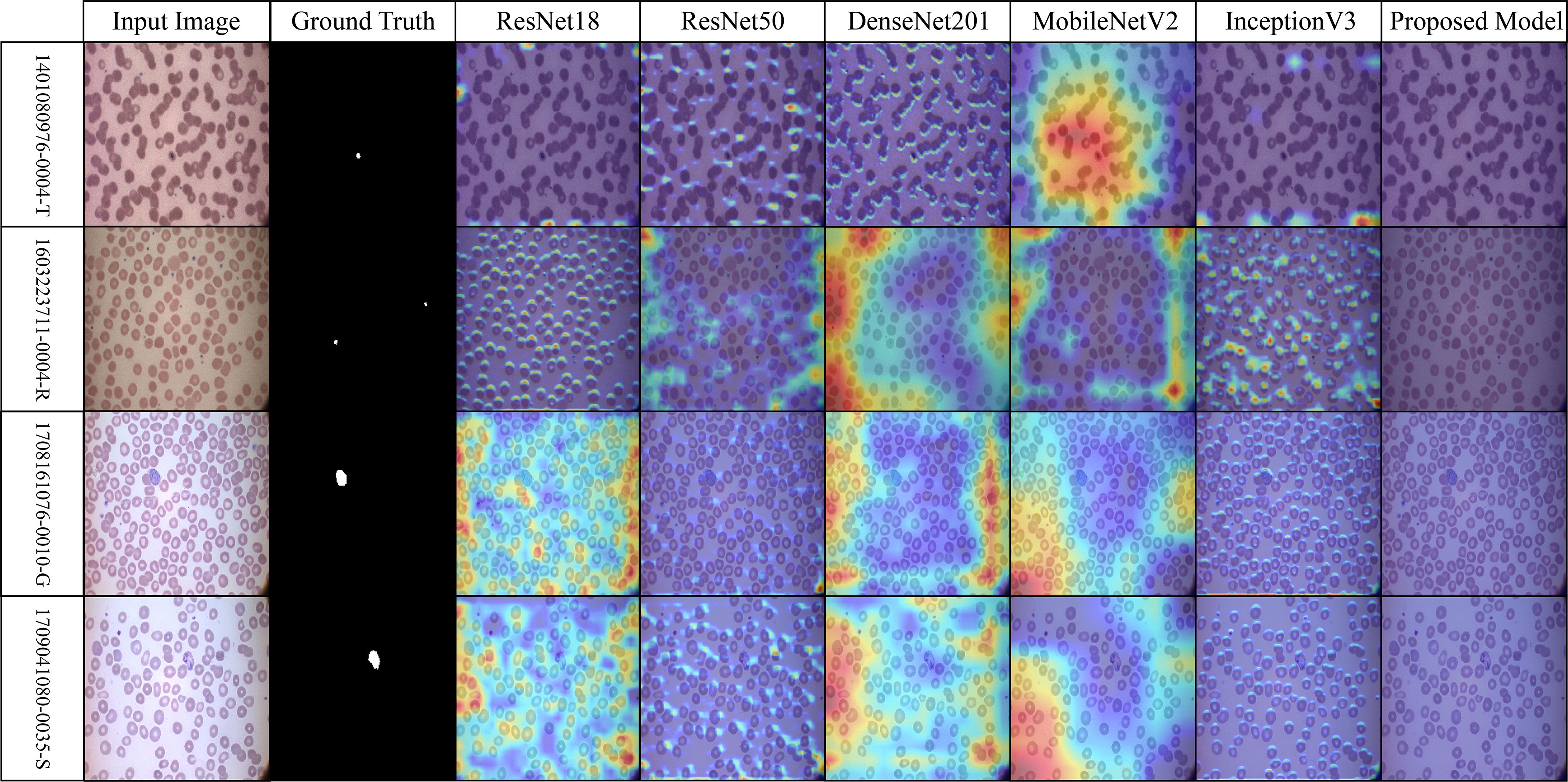 Grid of microscopy images comparing cell detection methods. Columns: Input Image, Ground Truth, ResNet18, ResNet50, DenseNet201, MobileNetV2, InceptionV3, Proposed Model. Each method visualizes cells differently, with varying color maps indicating detection accuracy.