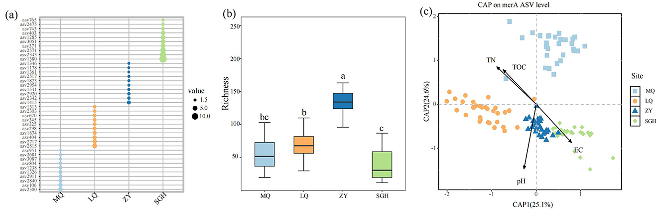 (a) A scatter plot shows data points with sizes representing values 1.5, 5.0, and 10.0 across four categories: MQ, LQ, ZY, and SGH. (b) A box plot displays richness across the same categories, with labels a, b, and c above the boxes. (c) A CAP plot illustrates the relationship between CAP1 and CAP2 with site categories MQ, LQ, ZY, SGH, and vectors for TN, TOC, pH, and EC indicating influences.