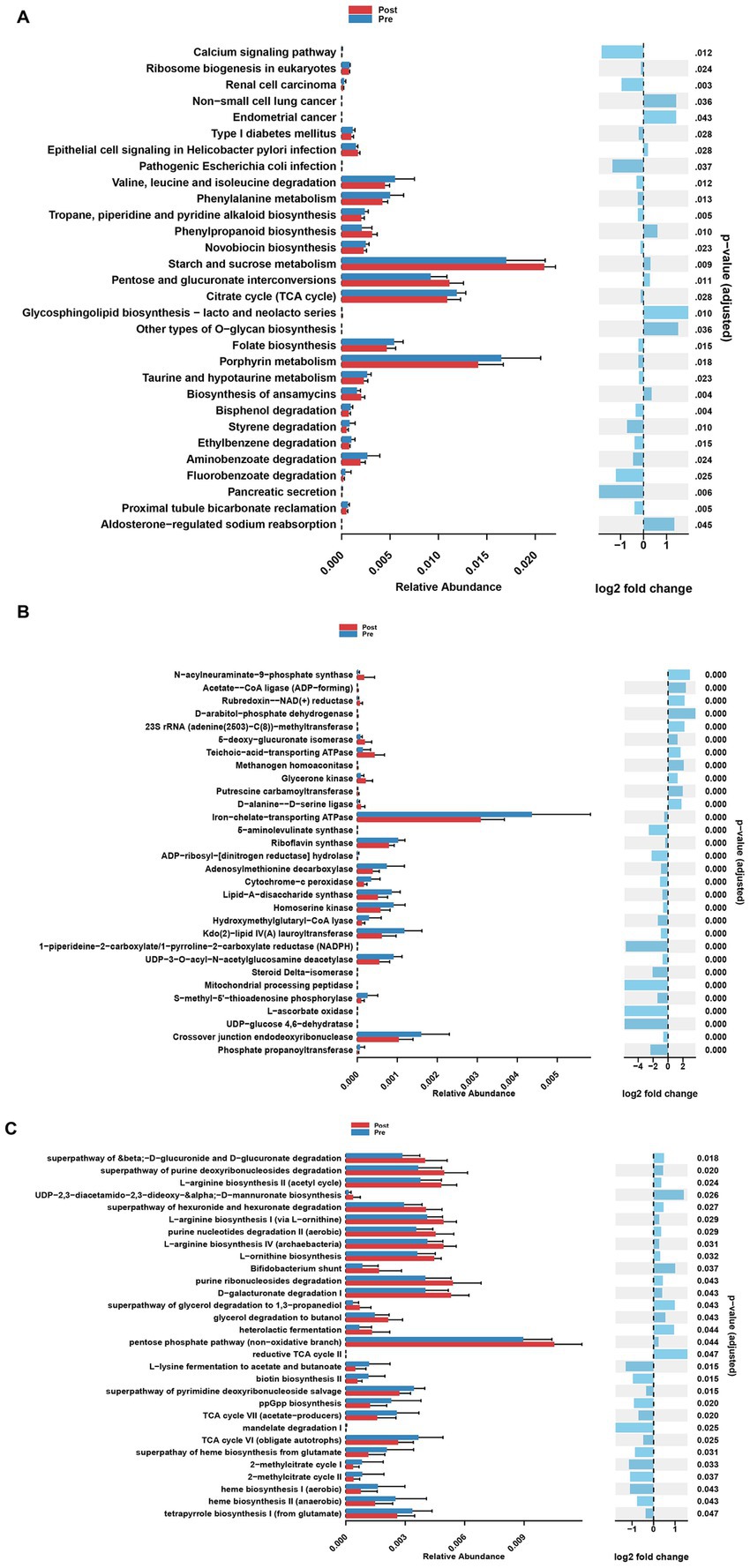 Bar charts labeled A, B, and C depict changes in relative abundance and log2 fold change of various pathways and enzymes pre- and post-treatment. Red bars represent post-treatment, and blue bars indicate pre-treatment. The chart includes data such as calcium signaling pathways, ribosome biogenesis, pentose phosphate pathway, and others, with statistical significance denoted by adjusted p-values on the right-hand side. Error bars indicate variability.