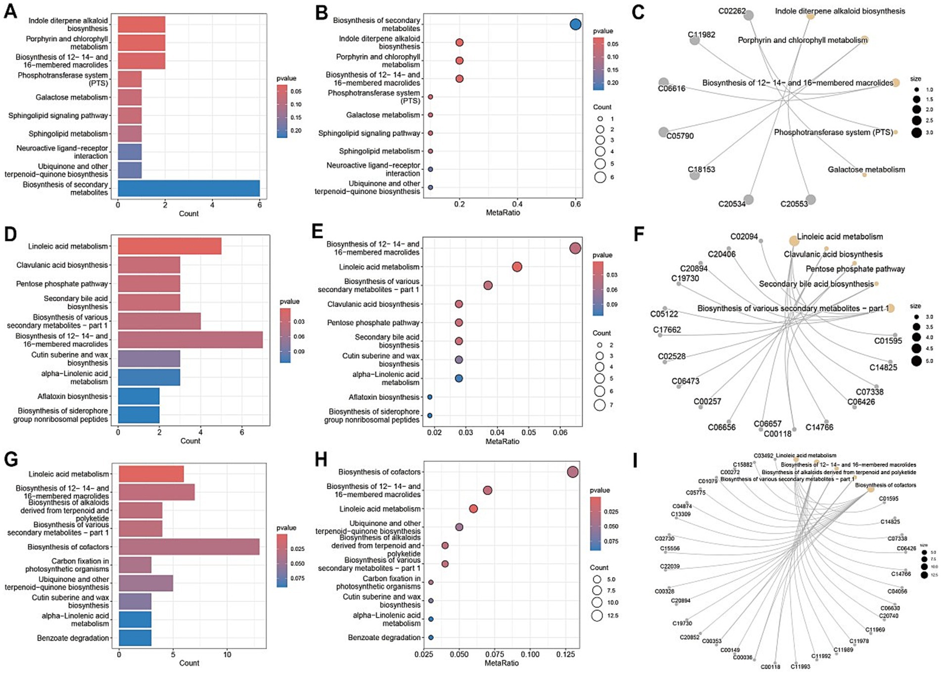 Nine-panel figure illustrating metabolic pathways with bar charts, dot plots, and network diagrams. Panels A, D, G show bar charts of pathway counts with varying p-values. Panels B, E, H display corresponding dot plots with meta-ratio and p-values. Panels C, F, I feature network diagrams linking metabolic pathways, annotated with pathway labels and node sizes indicating significance levels. Color gradients represent p-value ranges from high (red) to low (blue).