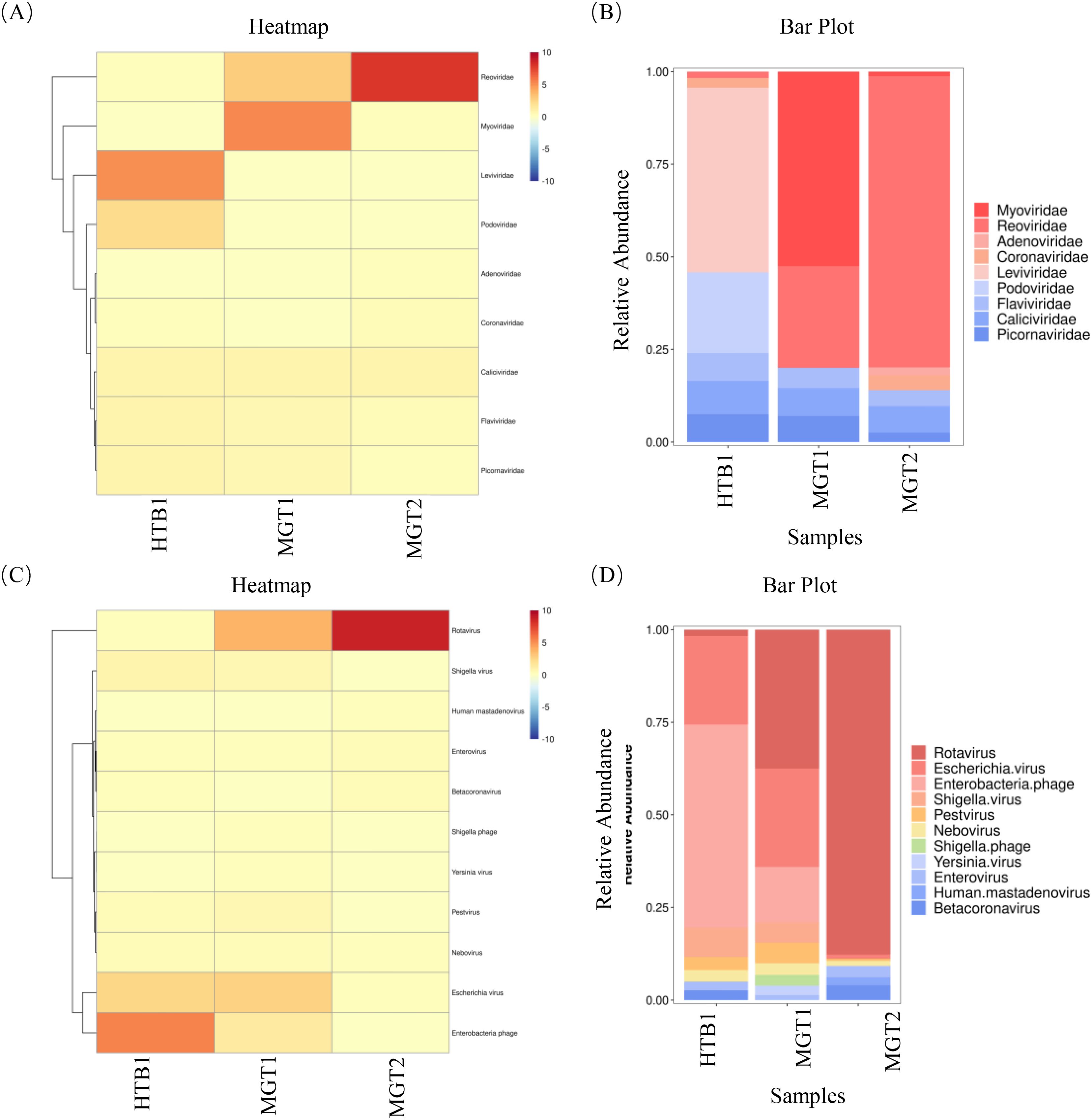 Panel A shows a heatmap depicting the abundance of various viral families, with high abundance in red and low abundance in yellow, across samples HTB1, MGT1, and MGT2. Panel B presents a corresponding bar plot illustrating the relative abundance of these families. Panel C displays a heatmap of specific viruses using similar color coding for abundance, while Panel D provides a bar plot of relative abundance for these viruses across the same samples.
