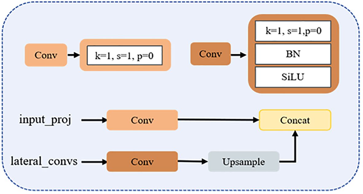 Flowchart of a neural network architecture with two main paths. The first path shows “Conv” followed by layers labeled as k=1, s=1, p=0, BN, and SiLU. The second path includes “input_proj” to “Conv”, “lateral_convs” to another “Conv”, an “Upsample” step, and a final “Concat” step merging both paths.