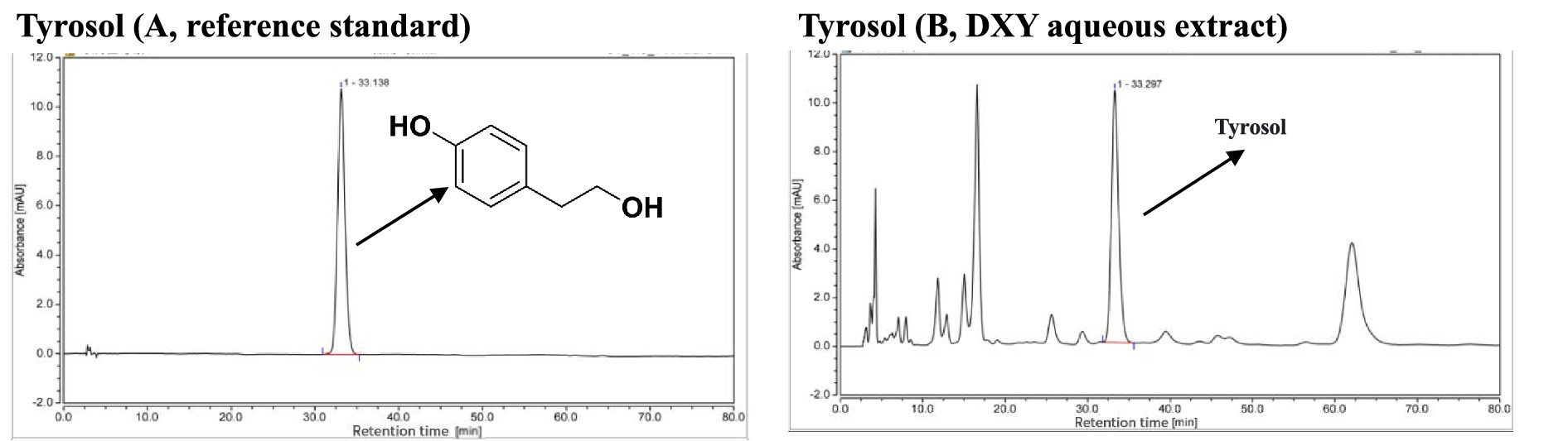 Two chromatograms compare tyrosol's absorbance. Image A shows a tyrosol reference standard with a significant peak at 33.138 minutes. Image B shows a DXY aqueous extract with multiple peaks, the largest also at 33.297 minutes, indicating tyrosol. Both graphs display absorbance versus retention time.