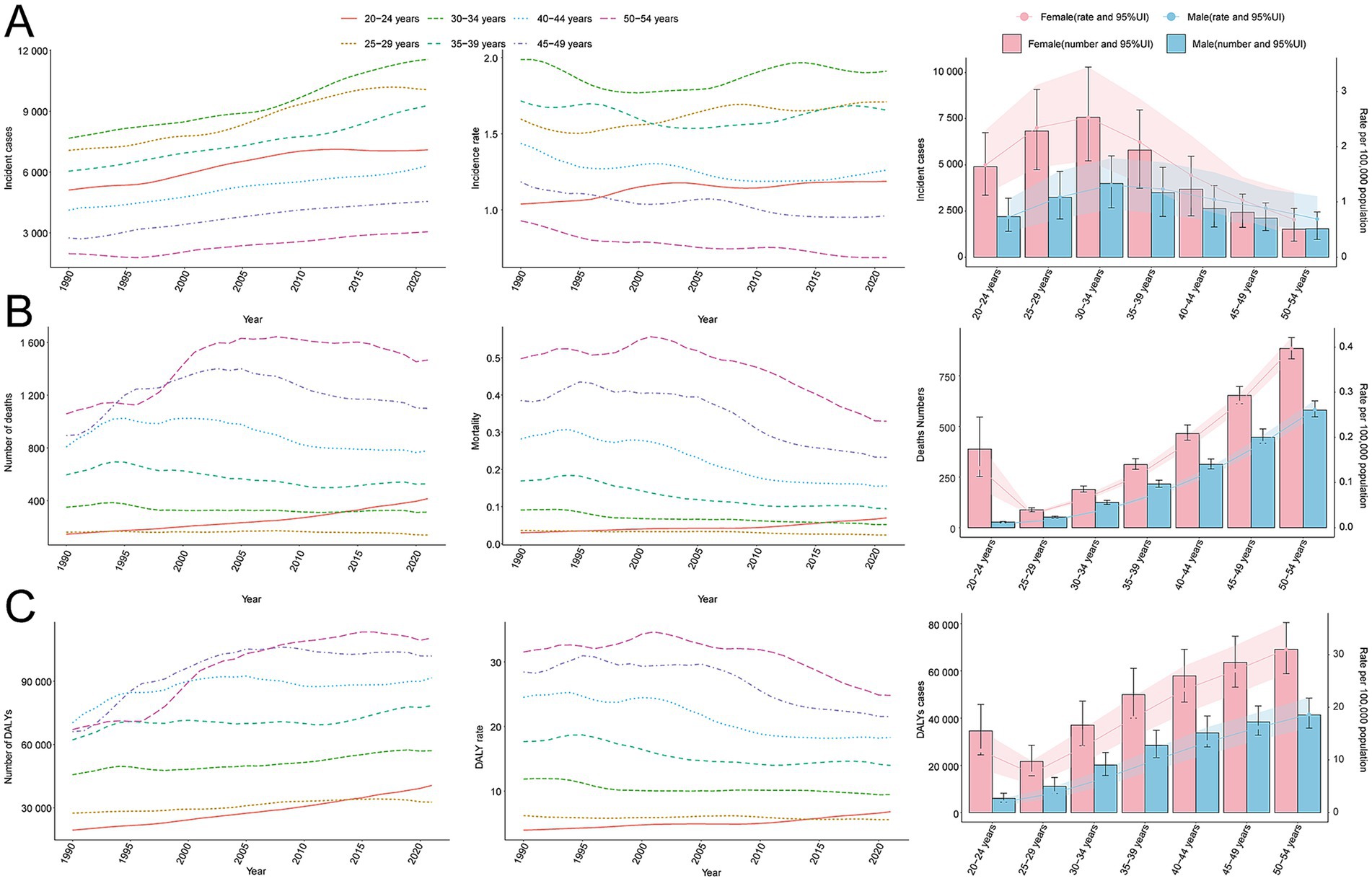 Three panels labeled A, B, and C display trends in health-related data from 1990 to 2020 for various age groups. Panel A shows incident cases and incidence rates, Panel B depicts the number of deaths and mortality rates, and Panel C illustrates DALYs and DALY rates. Each line represents a different age group with varied colors and patterns. Bar charts in each panel compare female and male data with 95% uncertainty intervals for specific age categories.