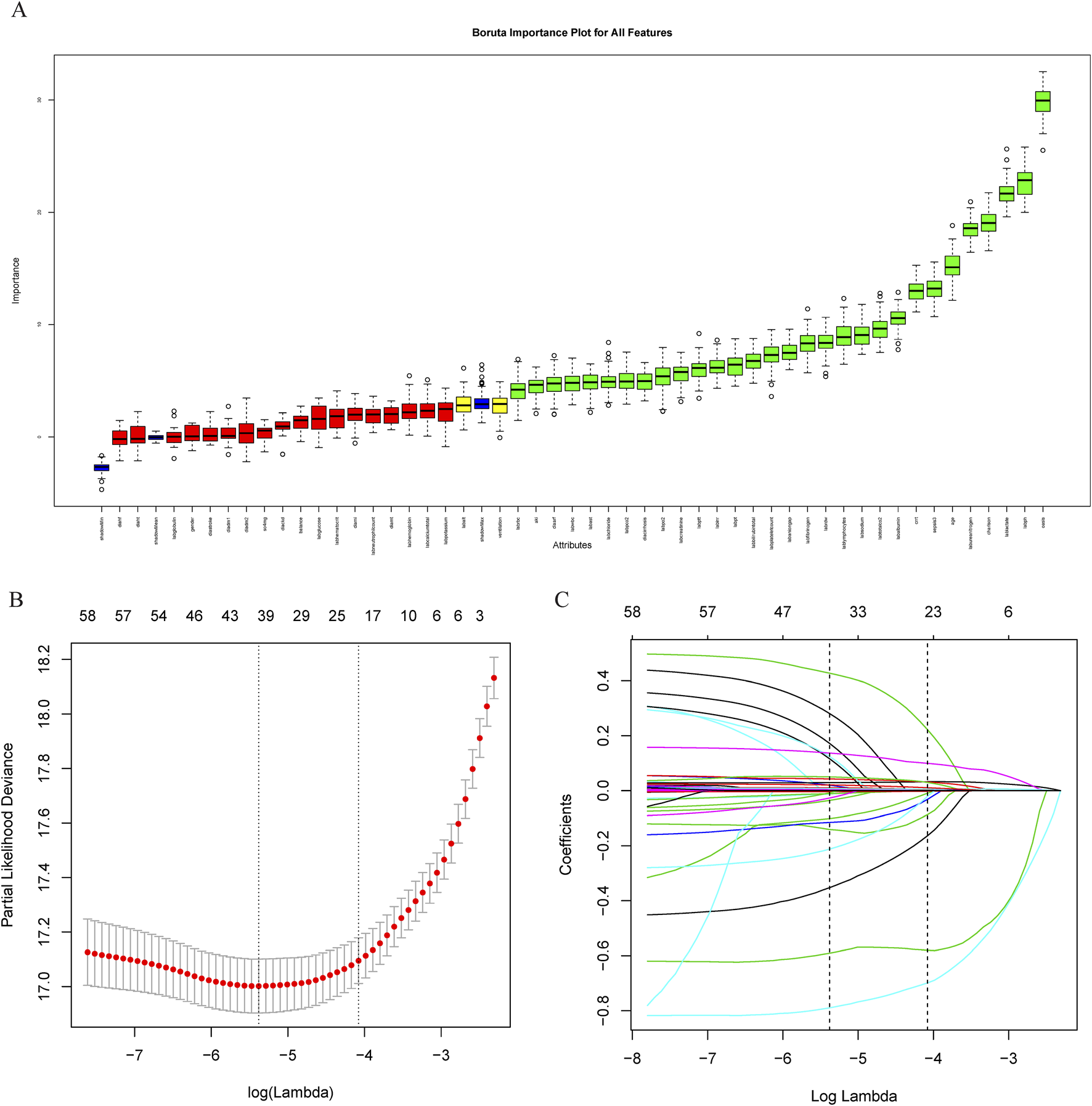 Panel A shows a Boruta importance plot of features with attributes on the x-axis and importance on the y-axis, indicating varied attribute significance. Panel B is a plot of partial likelihood deviance against log(lambda), illustrating deviance minimization. Panel C represents a coefficient path plot with log(lambda) on the x-axis and coefficients on the y-axis, showing the trajectories of coefficients as lambda changes.