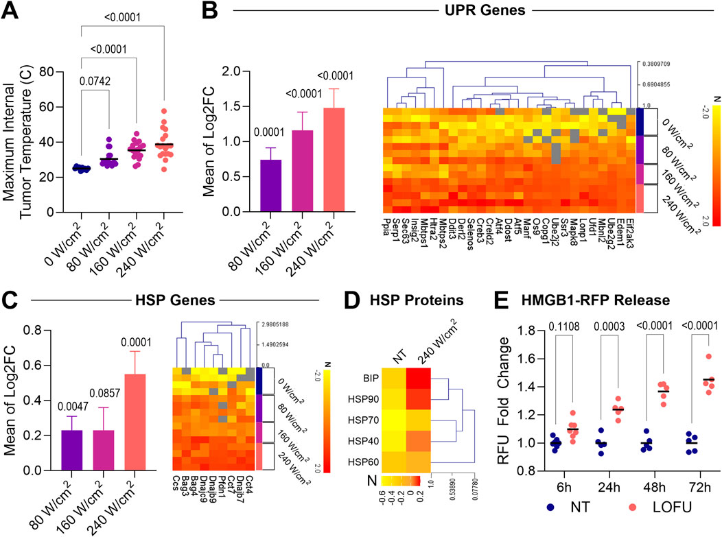 Enhancing tumoricidal effects of radiation therapy with low-intensity focused ultrasound in murine breast cancers