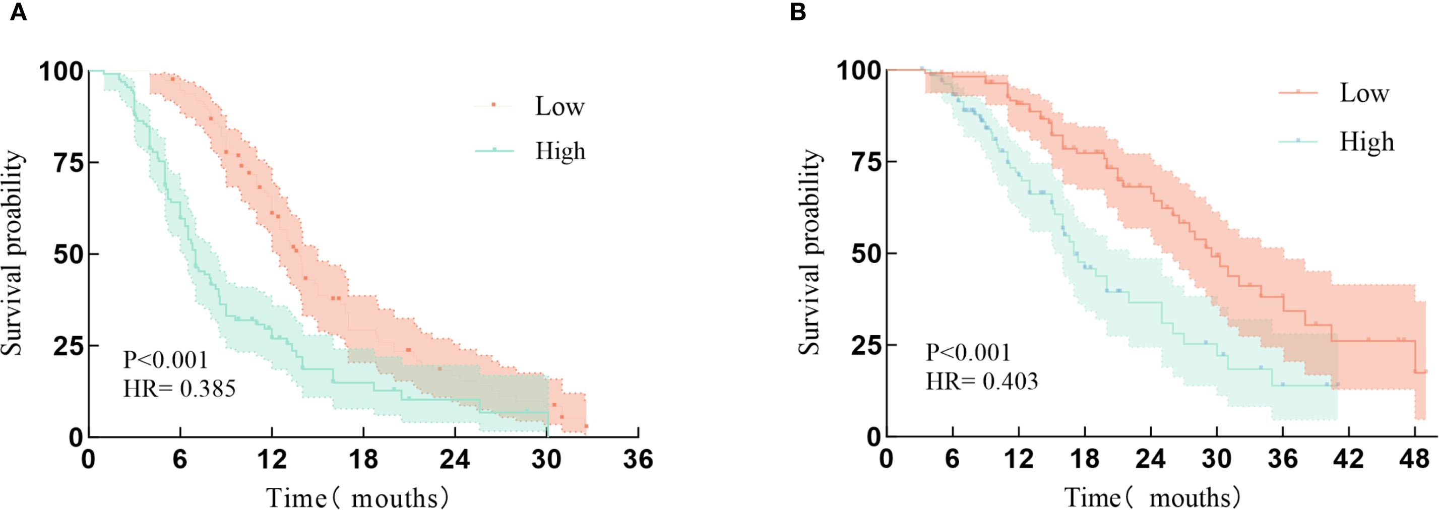 Kaplan-Meier survival curves showing survival probabilities over time in months for low and high groups. Panel A displays data for up to 36 months with high group showing better survival, HR=0.385. Panel B extends to 48 months, with similar trends, HR=0.403. Both panels indicate statistically significant differences with P<0.001.