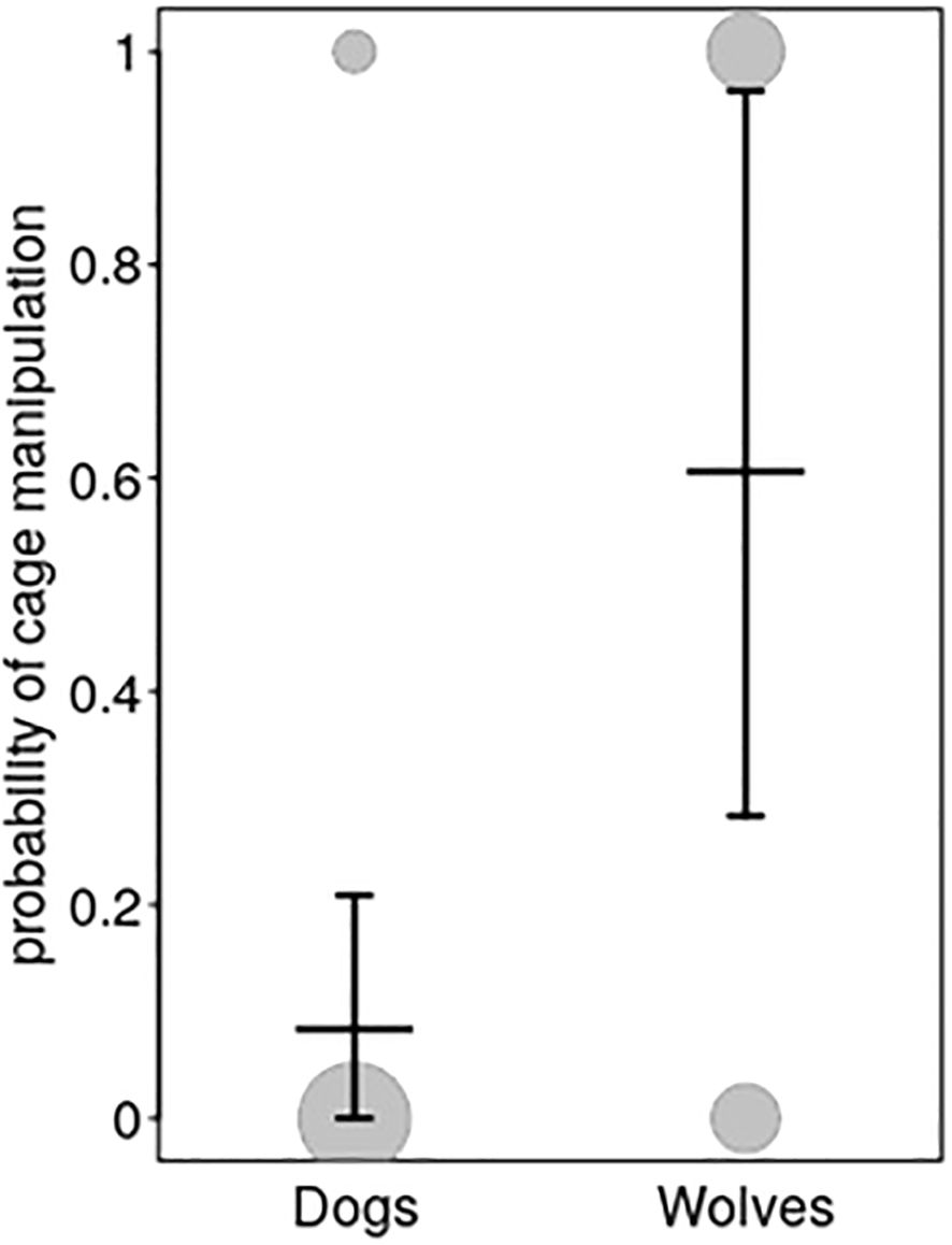 Bar graph comparing the probability of cage manipulation between dogs and wolves. Wolves have a higher probability around 0.8, while dogs have a lower probability around 0.1. Error bars indicate variability.