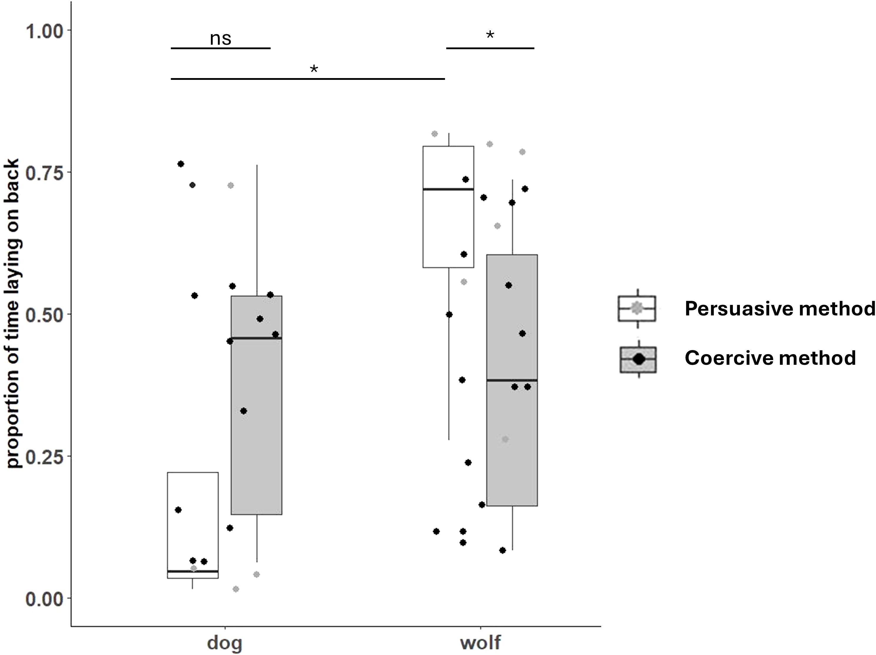 Box plot comparing the proportion of time dogs and wolves spend lying on their back using two methods: persuasive (gray) and coercive (white). Dogs: Persuasive (higher median), Coercive (lower median). Wolves: Persuasive (lower median), Coercive (higher median). Significance indicated by asterisks; “ns” for not significant, a single asterisk for significant differences.