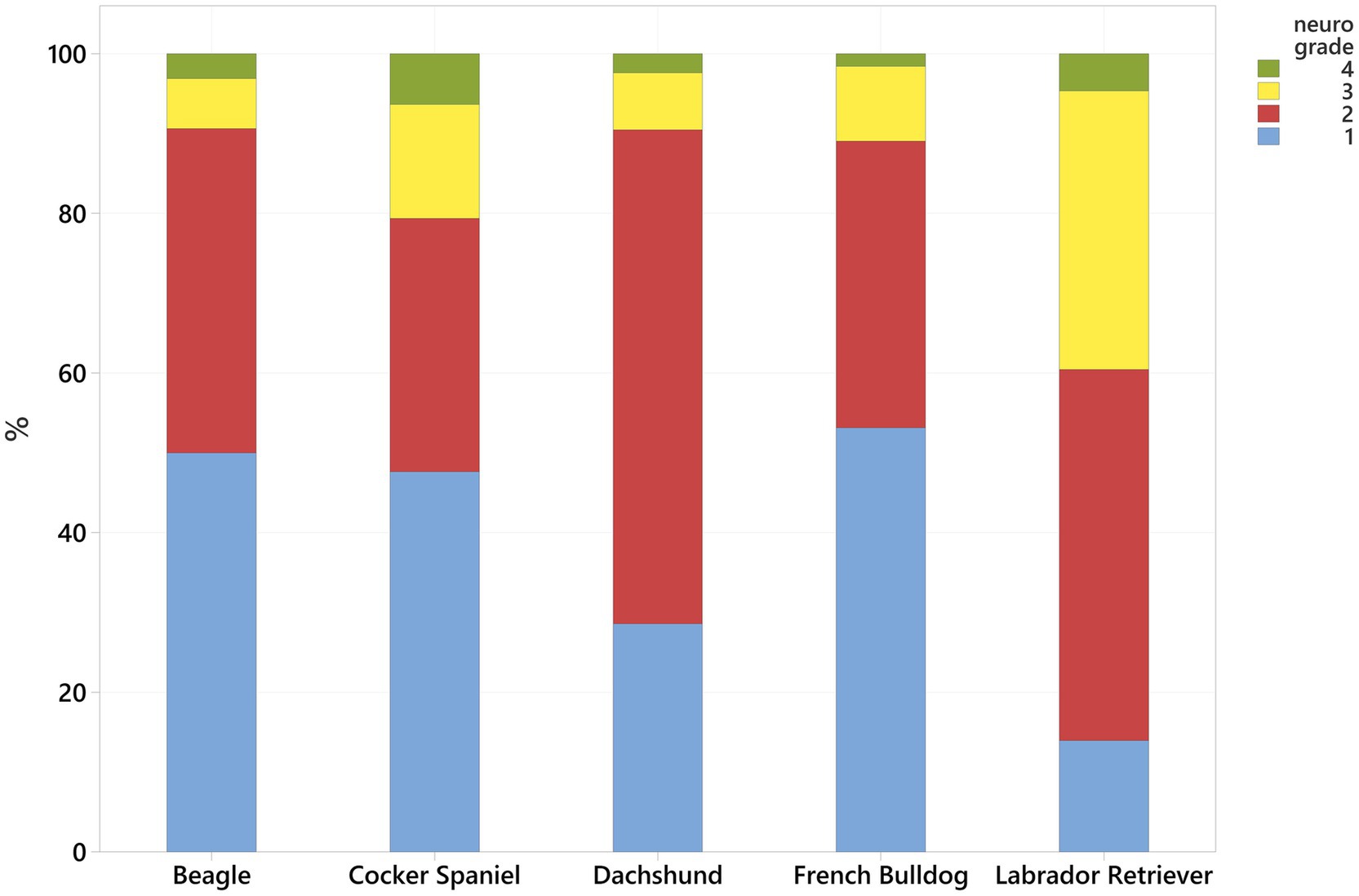 Stacked bar chart showing neuro grades 1 to 4 for five dog breeds: Beagle, Cocker Spaniel, Dachshund, French Bulldog, and Labrador Retriever. Grades are color-coded: blue for grade 1, red for grade 2, yellow for grade 3, and green for grade 4. Each breed shows varying percentages across the grades.