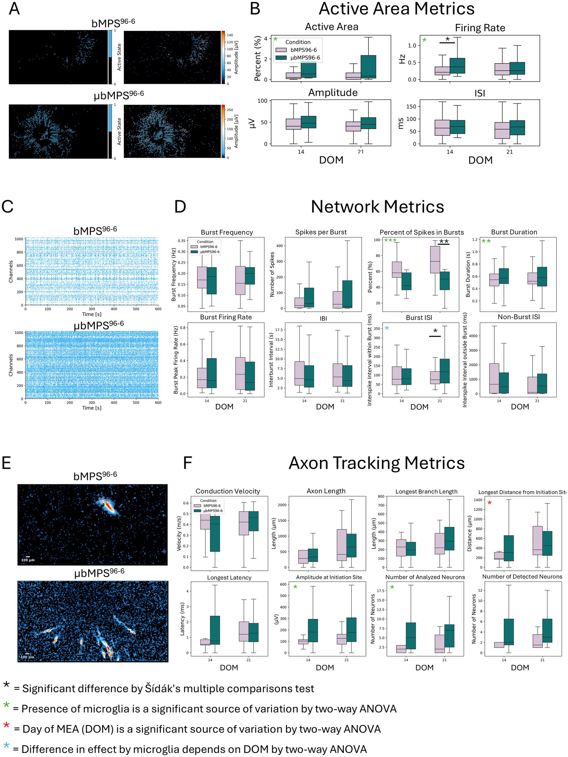 Graphs and data visualizations comparing metrics for bMPS96-6 and μbMPS96-6 conditions. Panels A and E show activity scans, with μbMPS96-6 showing more activity. Panels B, D, and F present box plots of various metrics, including active area, firing rate, network metrics, and axon tracking metrics. Significant differences are marked, indicating variation due to microglia presence and measurement day, analyzed using ANOVA and Šidák’s test.