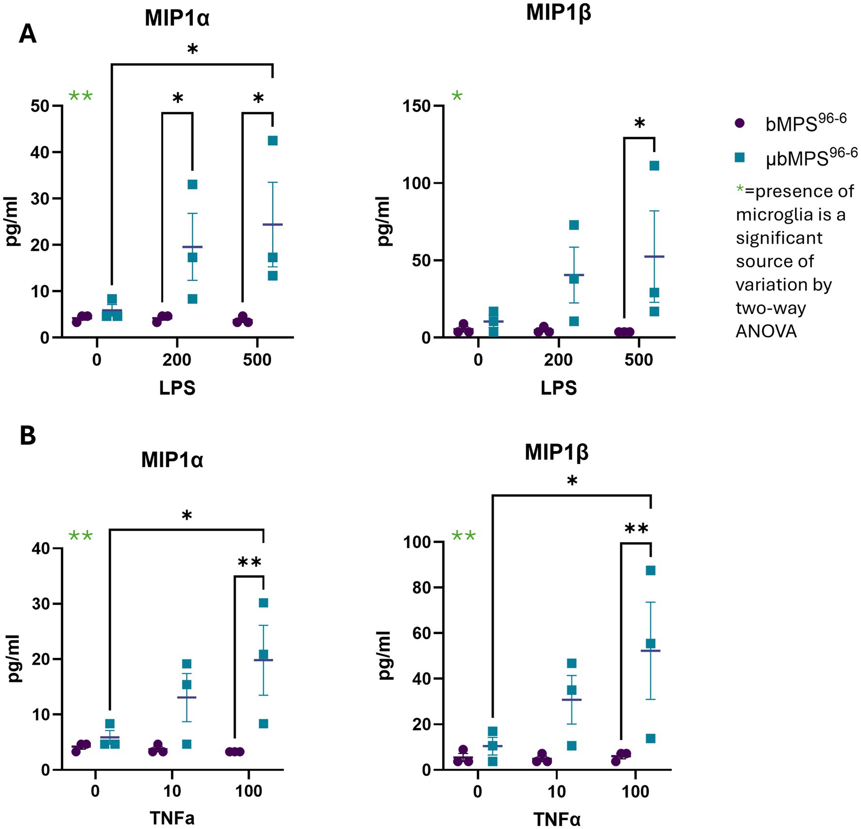 Bar graphs showing MIP1α and MIP1β protein levels in pg/ml under different conditions. Panel A depicts responses to LPS at 0, 200, and 500 pg/ml. Panel B shows responses to TNFα at 0, 10, and 100 pg/ml. Purple and blue symbols represent bMPS^96-6 and μbMPS^96-6, respectively. Significant differences are marked by asterisks, indicating the presence of microglia as a significant source of variation by two-way ANOVA. Error bars indicate variability.