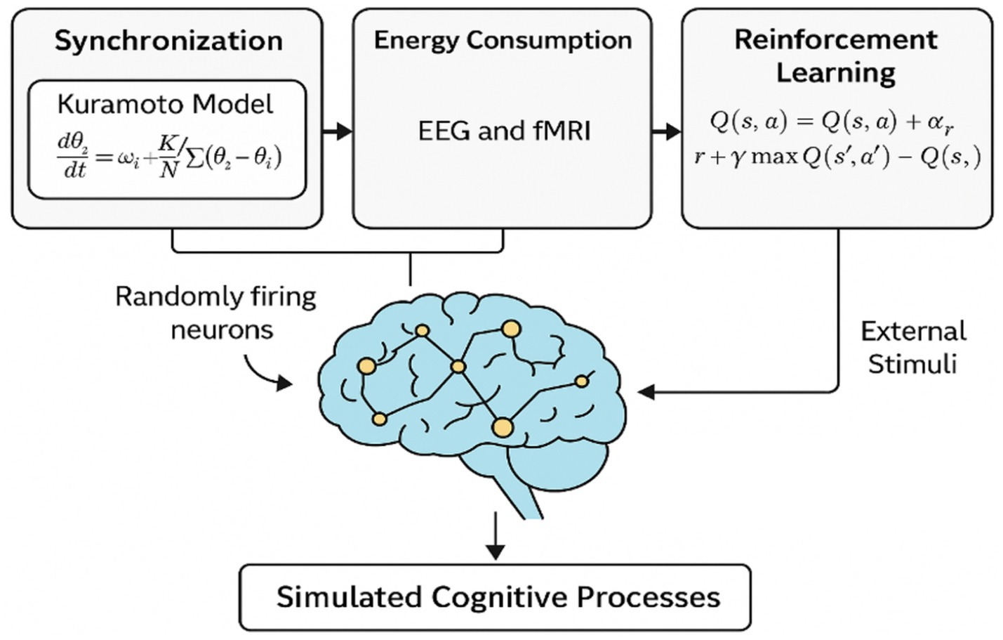Diagram illustrating simulated cognitive processes. It shows a brain with neurons connected by lines. Three boxes labeled Synchronization (Kuramoto Model), Energy Consumption (EEG and fMRI), and Reinforcement Learning link to the brain, which responds to
