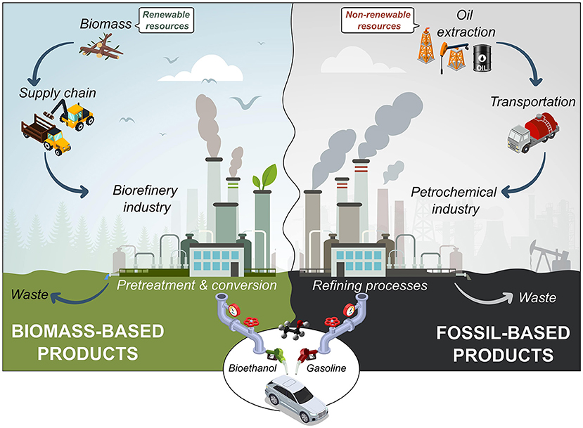 Diagram contrasting biomass-based and fossil-based products. On the left, renewable resources like biomass enter the supply chain into a biorefinery industry, leading to pretreatment, conversion, and production of bioethanol. On the right, non-renewable oil extraction feeds into the petrochemical industry, with refining processes resulting in gasoline. Both processes generate waste. A car illustration depicts the use of bioethanol and gasoline fuels.