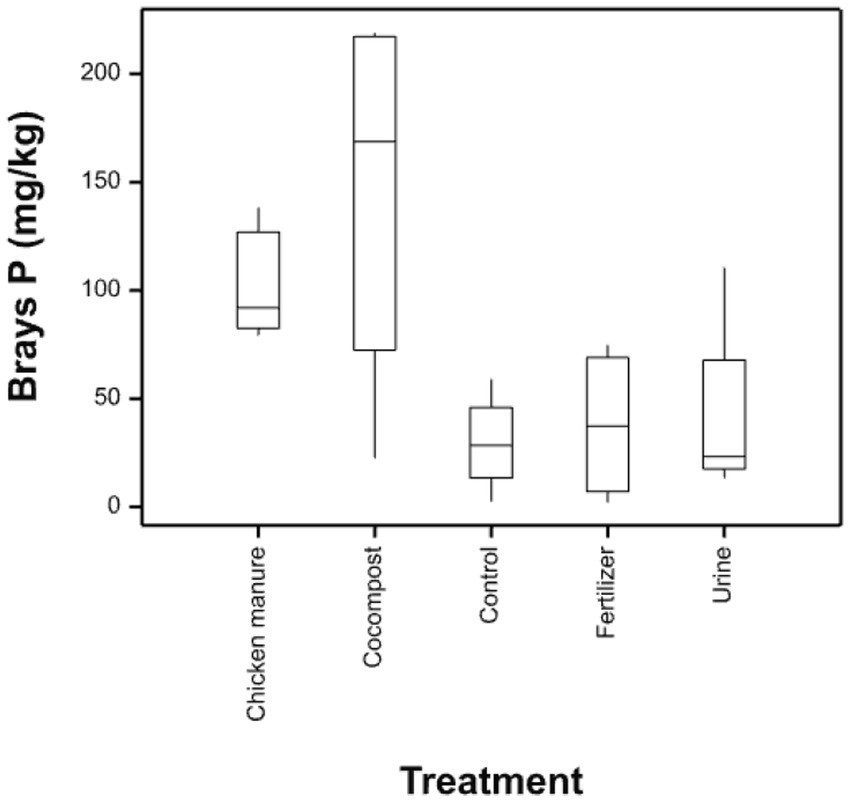 Box plot depicting Brays P levels in milligrams per kilogram across five treatments: chicken manure, cocompost, control, fertilizer, and urine. Cocompost shows the highest variability, with a range from about 50 to 200 milligrams per kilogram. Chicken manure has a smaller range, around 75 to 125. Control, fertilizer, and urine show lower levels, all mostly under 50 milligrams per kilogram. The graph suggests cocompost and chicken manure significantly increase Brays P compared to other treatments.