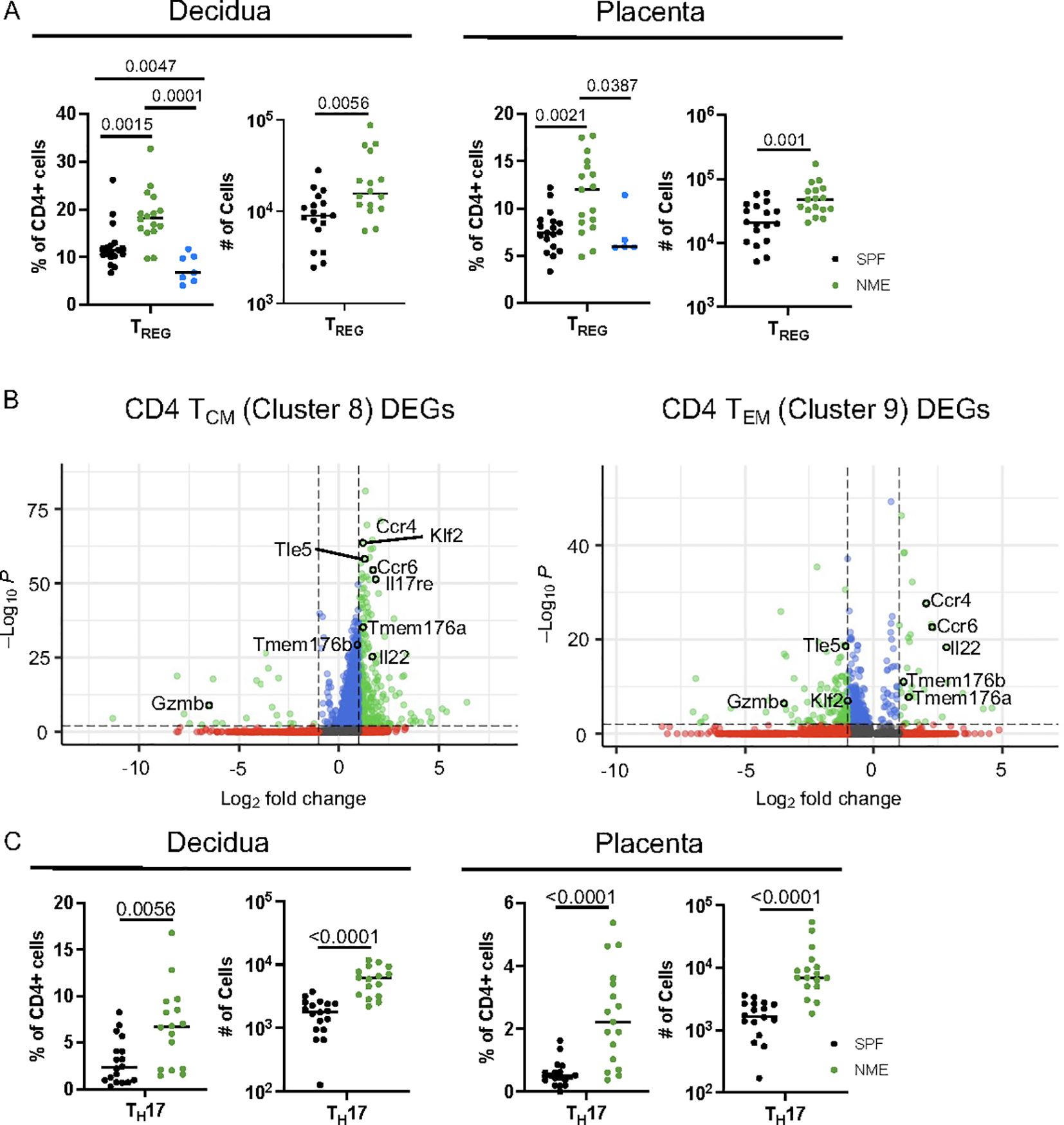 A composite image with three panels showing charts analyzing CD4+ cell populations in decidua and placenta. Panel A shows dot plots comparing Treg cell percentages and numbers in SPF and NME samples. Panel B displays volcano plots of differentially expressed genes in CD4 TCM (Cluster 8) and CD4 TEM (Cluster 9) cells, highlighting genes like Tle5, Ccr4, and Klf2. Panel C presents dot plots for TH17 cell percentages and numbers in decidua and placenta samples, with significant p-values indicating variations between SPF and NME samples.