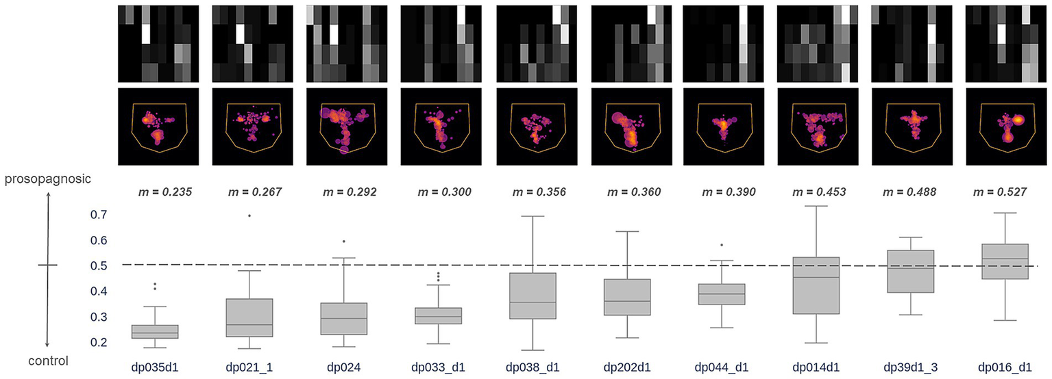 Nine grayscale matrices and corresponding heat maps illustrate variation in data patterns. Below, a box plot compares control and prosopagnosic groups with median values indicated as \(m = 0.235\) to \(m = 0.527\). The box plot axis ranges from 0.2 to 0.7, showing comparative distributions labeled from "dp035d1" to "dp016_d1".