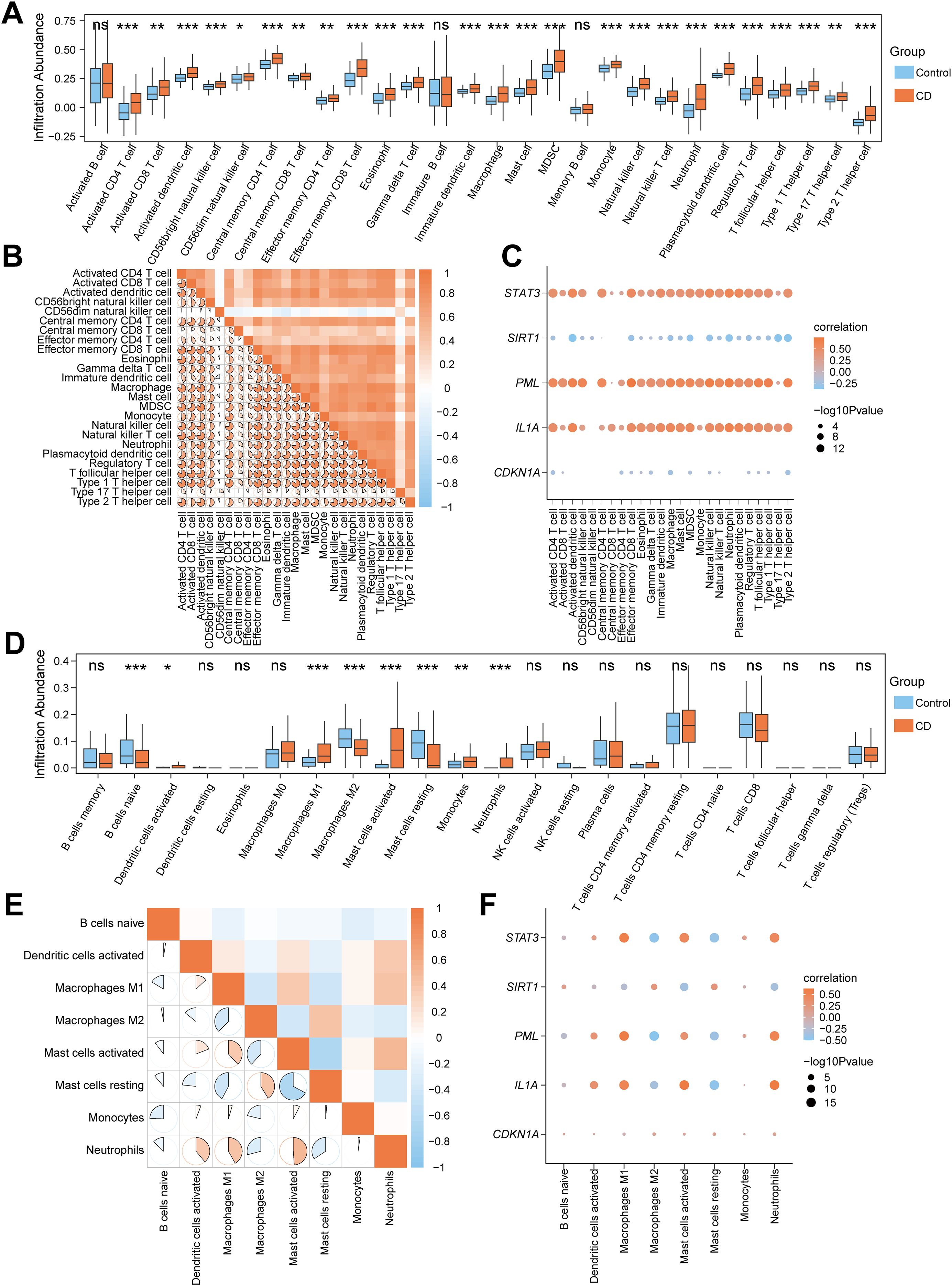 Panel A shows a box plot of infiltration abundance across various immune cell types for control and CD groups, with significance levels indicated. Panel B displays a correlation heatmap for activated CD4 and CD8 T cells with other immune cells. Panel C features a dot plot correlating gene expression with immune cell infiltration, depicting correlation values and significance. Panel D shows another box plot detailing infiltration abundance for different immune cells. Panel E presents a correlation heatmap with dendritic cells, macrophages, mast cells, and neutrophils. Panel F offers a dot plot of gene expression correlations with selected immune cells.