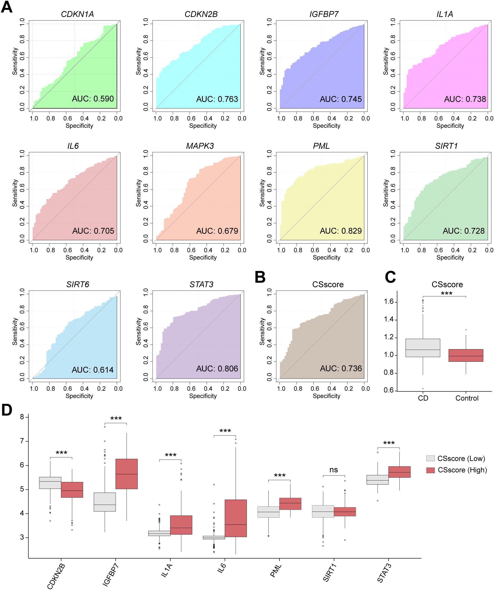 Multiple panels display graphs related to gene expression analysis: A. Receiver Operating Characteristic (ROC) curves for CDKN1A, CDKN2B, IGFBP7, IL1A, IL6, MAPK3, PML, SIRT1, SIRT6, and STAT3, showing varying AUC values. B. ROC curve for CSscore with an AUC of 0.736. C. Box plot comparing CSscore between CD and control, showing significant difference. D. Box plots for CSscore (low and high) for different genes with significance indicators. Graph colors vary, with specificity on the x-axis and sensitivity on the y-axis for ROC curves.