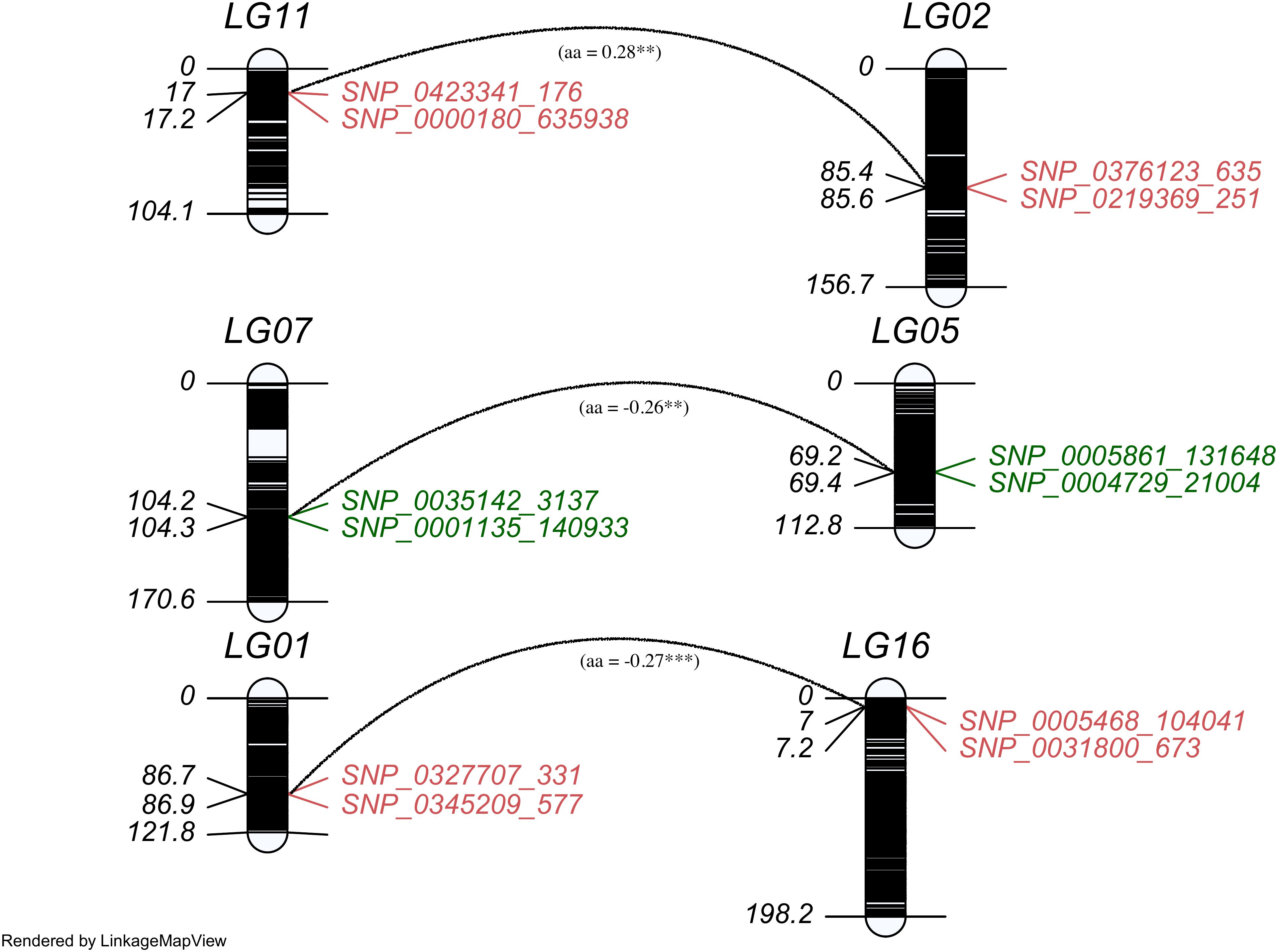 Distribution of epistatic QTLs across likage groups. QTL pairs connected with arc line represents epistasis effect with its magnitude and direction.