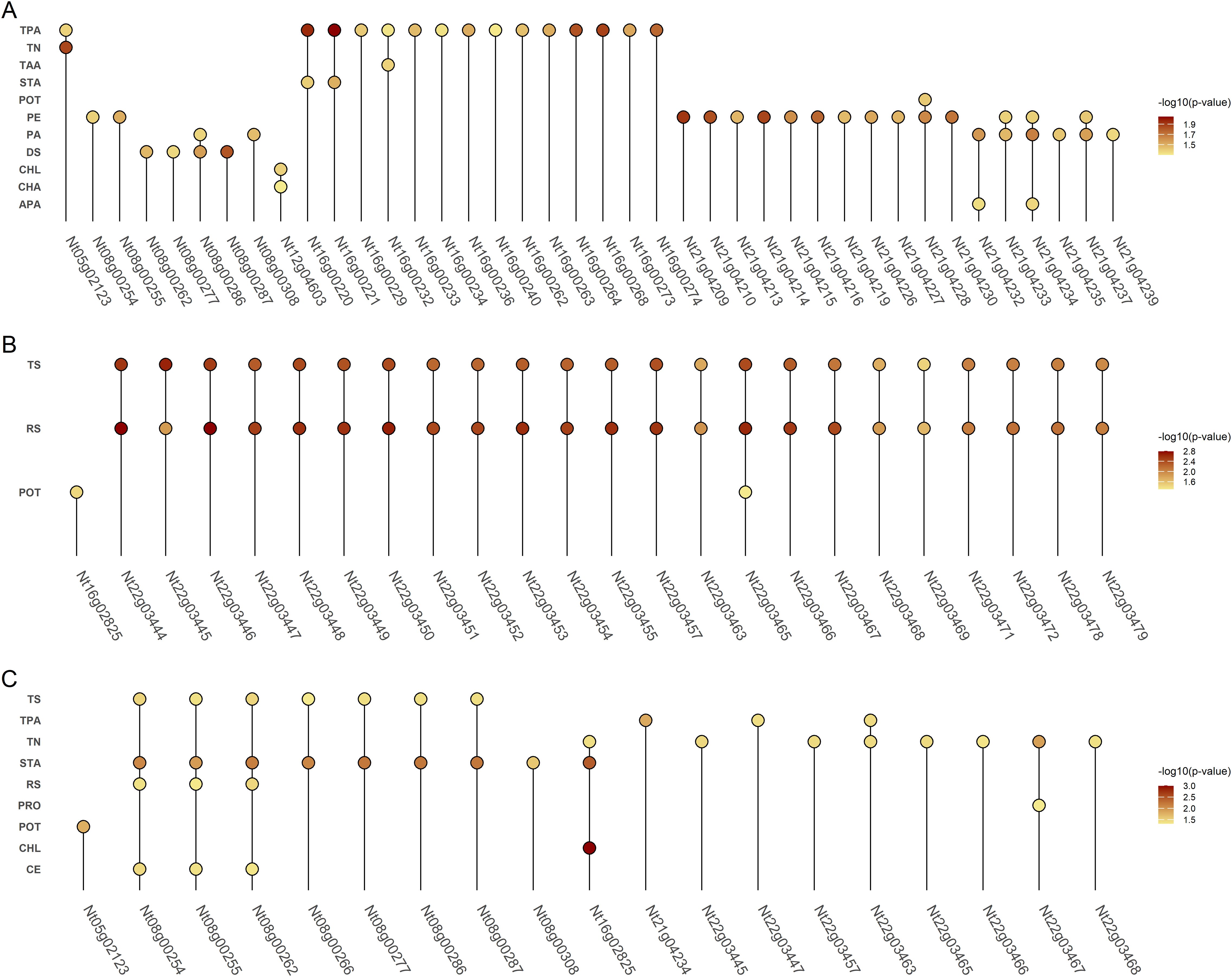 Dot plots displays association of traits with the genes. color intensity indicates -log 10 p-values with darker colors represents stronger association. Each plot section A, B and C represents 3 environments.