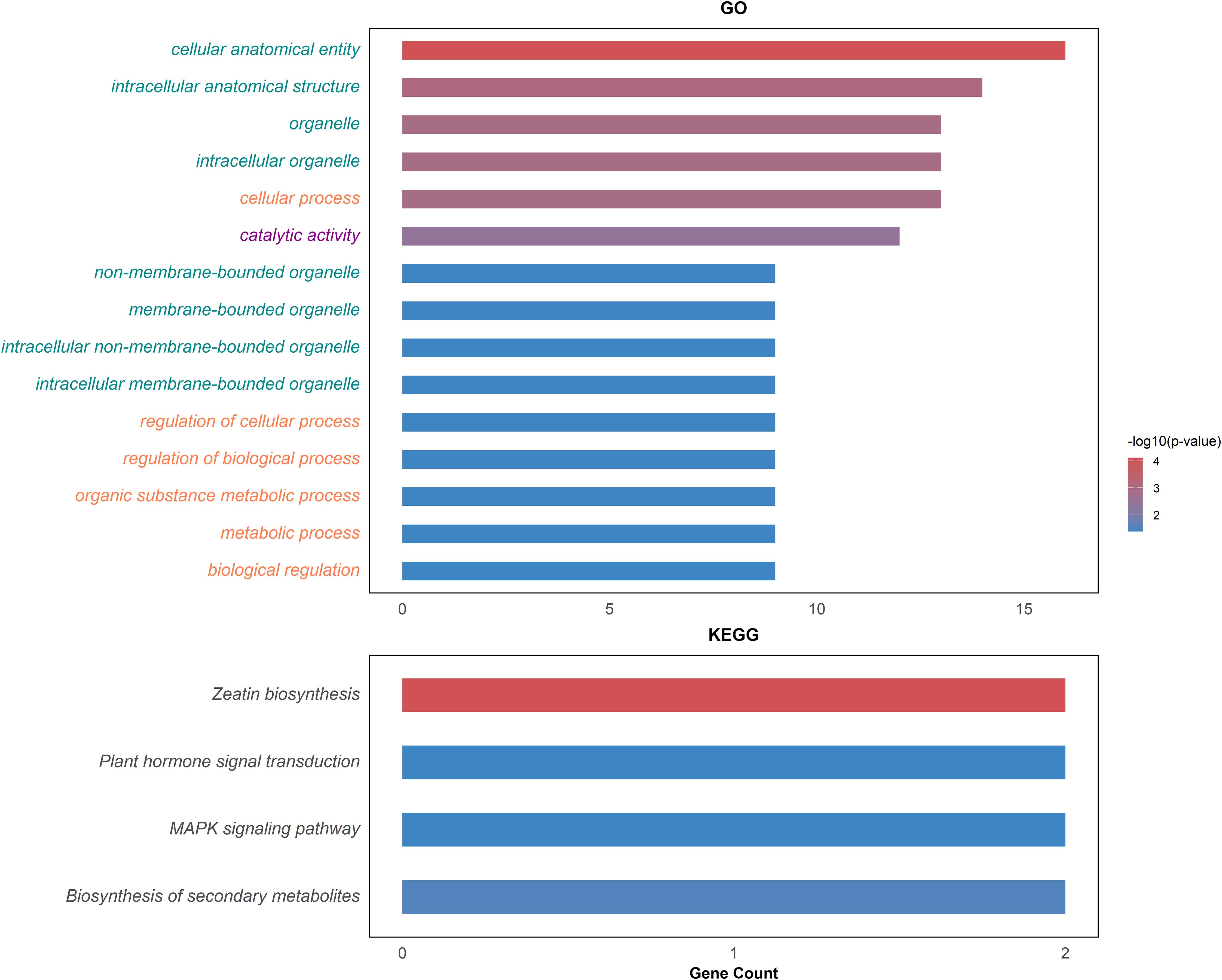 Go and KEGG enrichment bar plot. Longer bars indicating no. of significantly enriched genes and color intensity represents significance level.