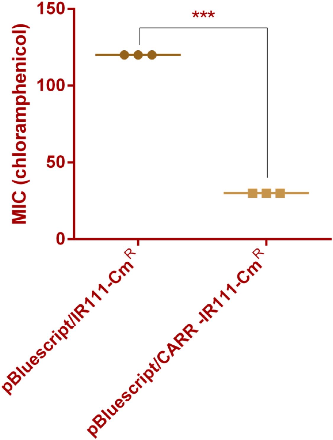 Bar chart comparing the minimum inhibitory concentration (MIC) of chloramphenicol for two samples: pBluescript/IR111-Cm^R and pBluescript/CARR-IR111-Cm^R. The first sample has an MIC around 100, while the second is around 10, showing a significant difference, as indicated by three asterisks.