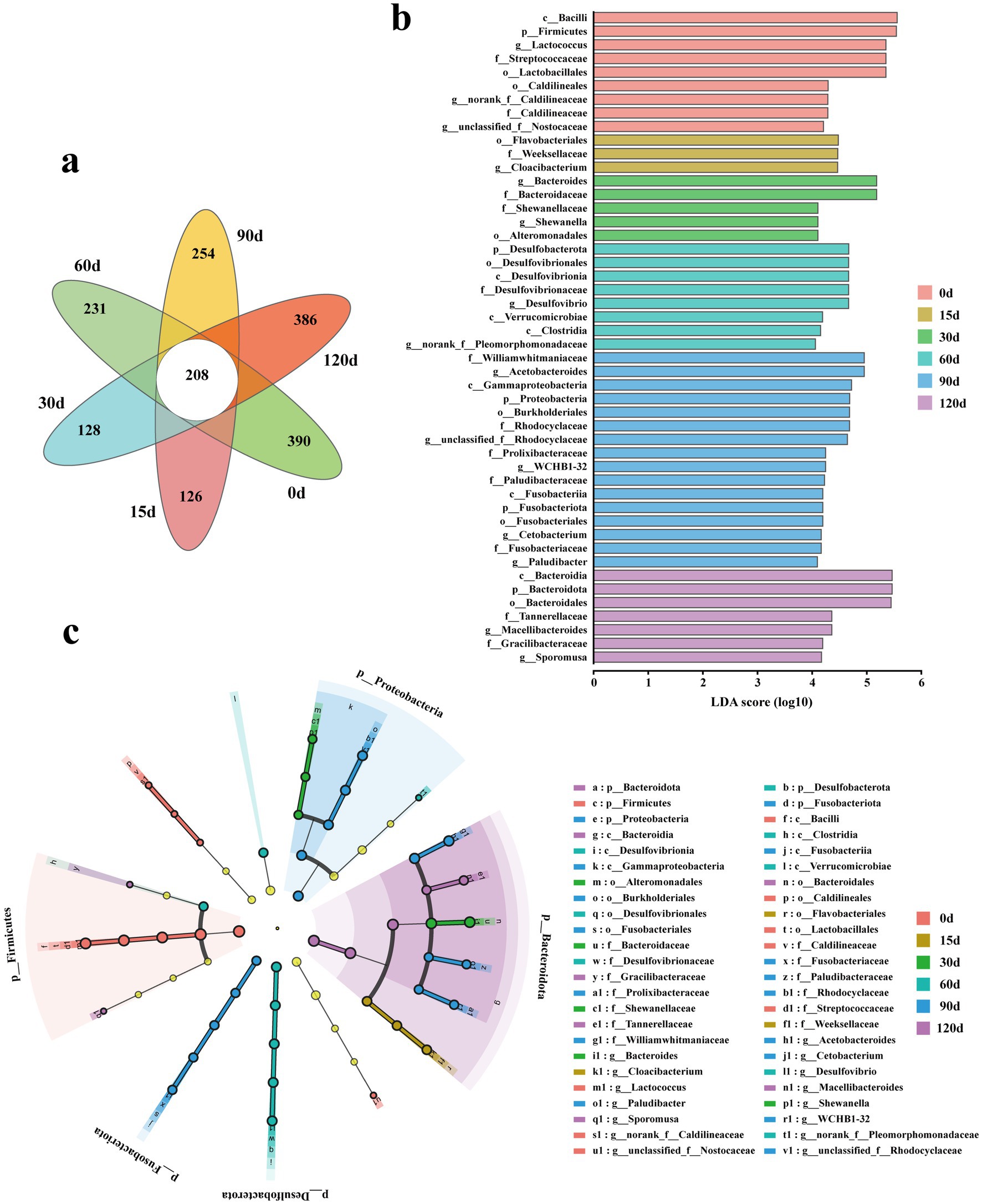 Venn diagram (a) shows bacterial taxa overlap across six time points (0, 15, 30, 60, 90, 120 days). Bar graph (b) displays linear discriminant analysis (LDA) scores for different taxa, color-coded by time point. Cladogram (c) illustrates phylogenetic relationships among significant bacterial taxa, with colored branches indicating different taxa. Labels indicate taxa and colors correspond to specific time points as shown in the legend.