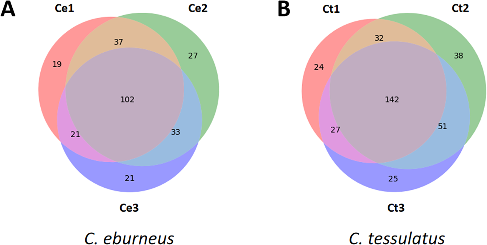 Venn diagrams showing the number of overlapping conopeptide sequences from three individuals of C. eburnues (A) and C. tessulatus (B). For both species, the majority of the conopeptides were shared by at least two individuals. However, a substantial proportion are still unique to an individual.