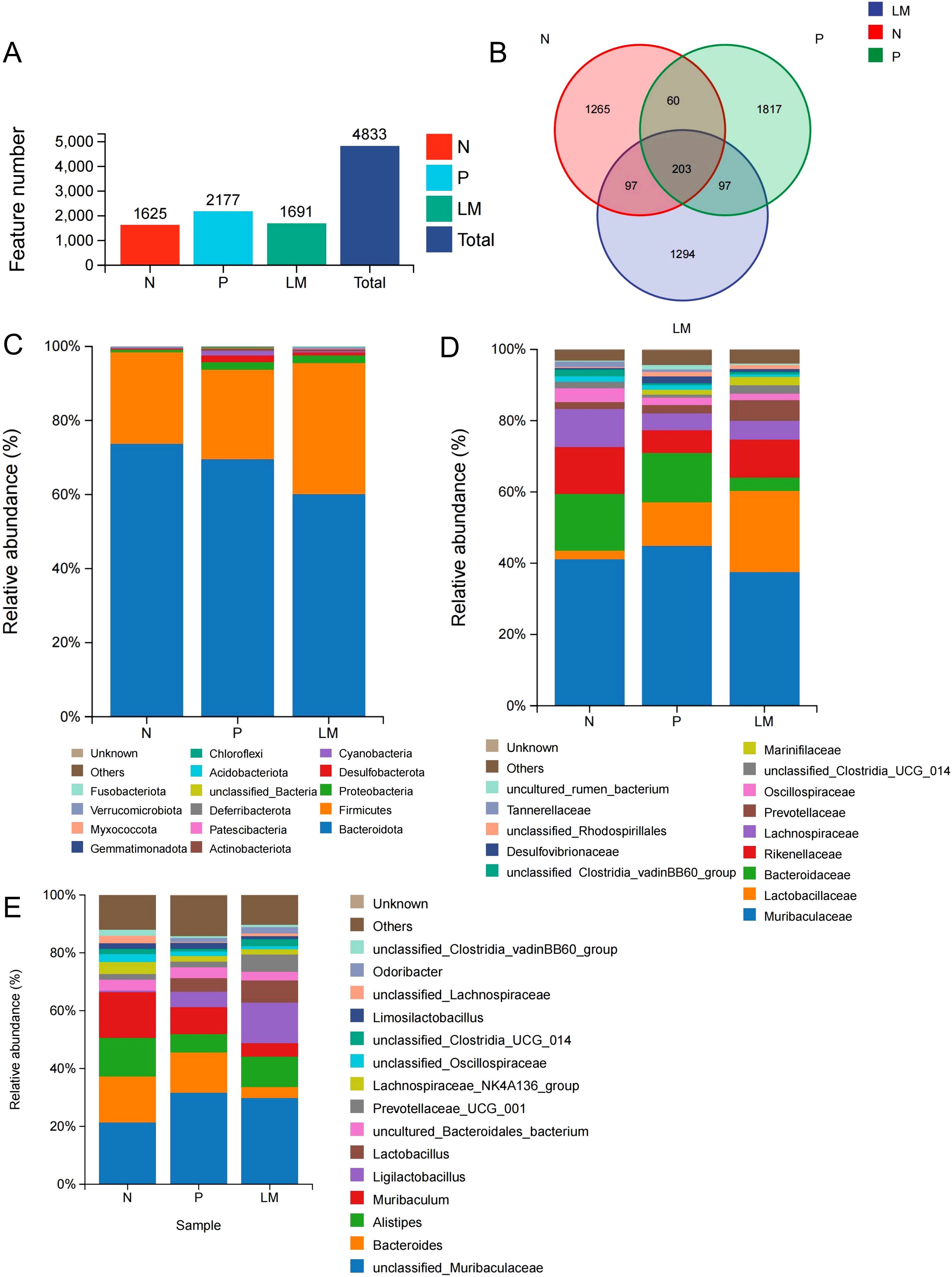 A multi-panel figure with different data visualizations: Panel A shows a bar chart with feature numbers for groups N, P, LM, and Total. Panel B is a Venn diagram displaying intersections among N, P, and LM groups. Panel C displays relative abundance of various bacterial phyla across N, P, and LM. Panel D shows a similar chart with bacterial families. Panel E presents relative abundance of bacterial genera across the three groups. Each panel uses color coding to distinguish between different categories or groups.