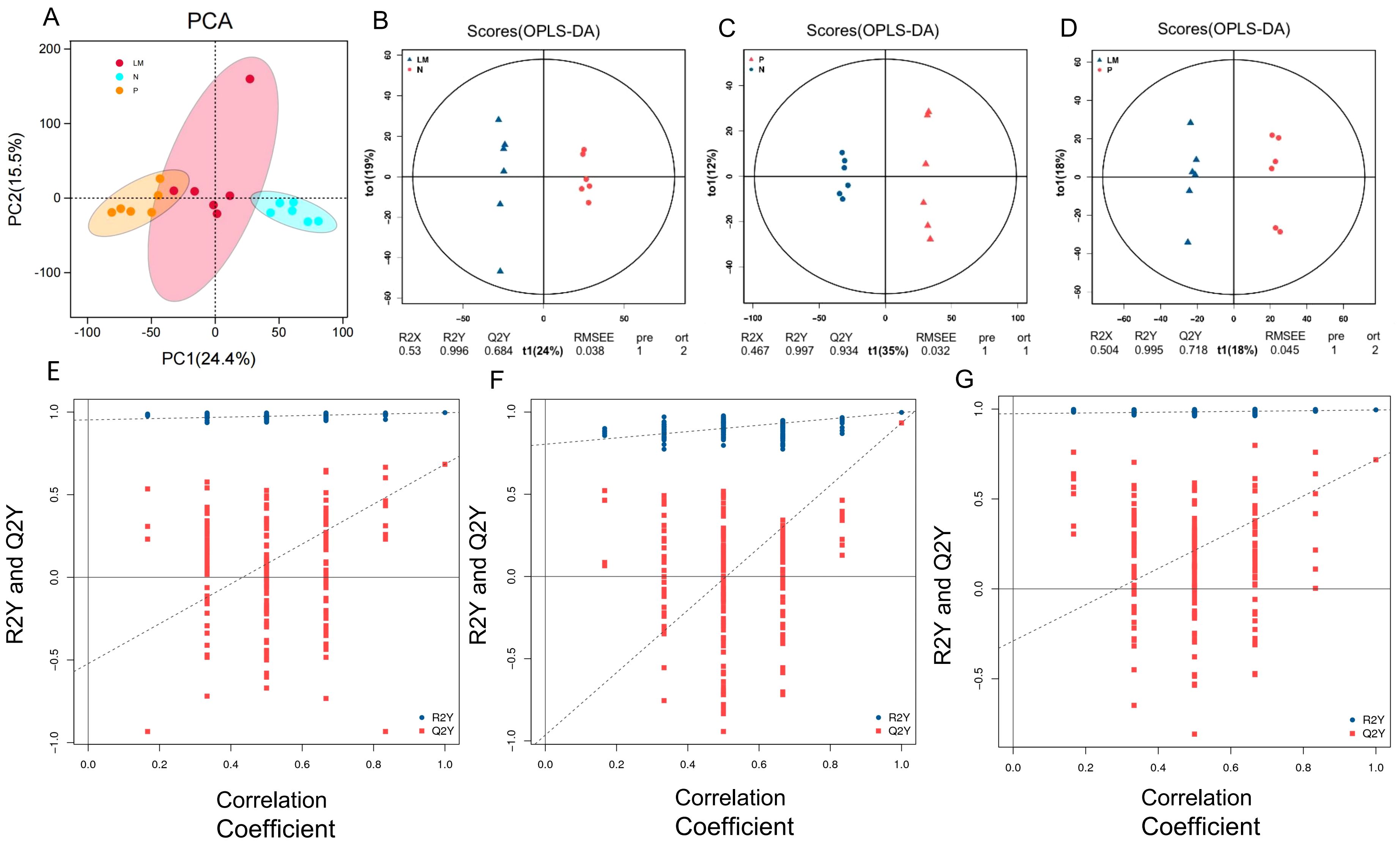 Panel of seven subfigures showing statistical data visualizations: A) PCA plot with three clusters marked in different colors representing groups LM, N, and P. B-D) OPLS-DA score plots with two groups each, displaying separation among LM, N, and P. E-G) Correlation plots for R2Y and Q2Y values against correlation coefficients, with blue dots representing R2Y and red squares for Q2Y. Each plot shows similar patterns of distribution.