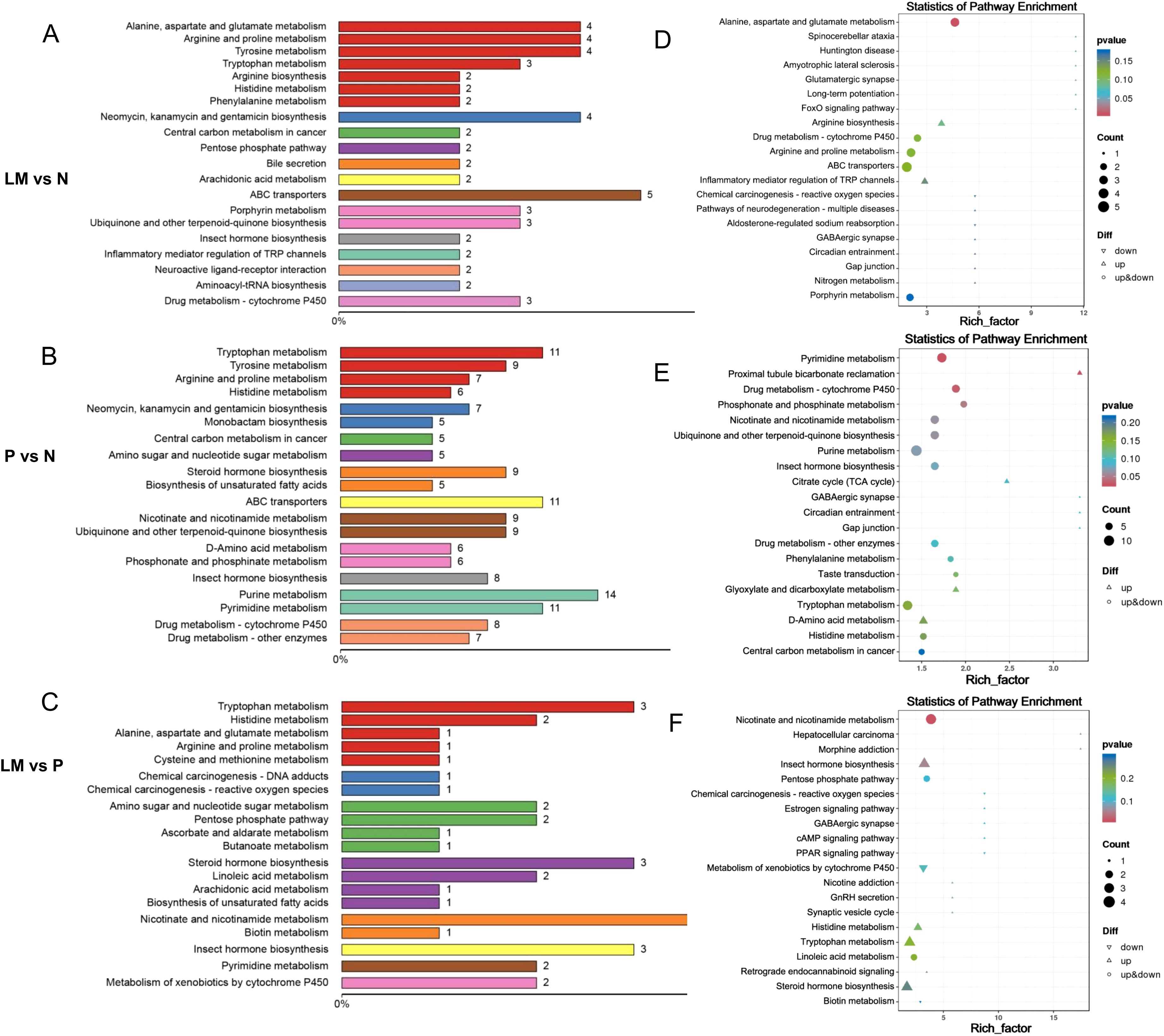 Bar charts labeled A, B, and C compare various metabolic pathways between different groups with color-coded bars indicating count values. Scatter plots labeled D, E, and F display pathway enrichment statistics, plotting rich factor against pathways with points varying by p-value, count, and direction of change (up, down, or up and down), highlighted by different colors and shapes.