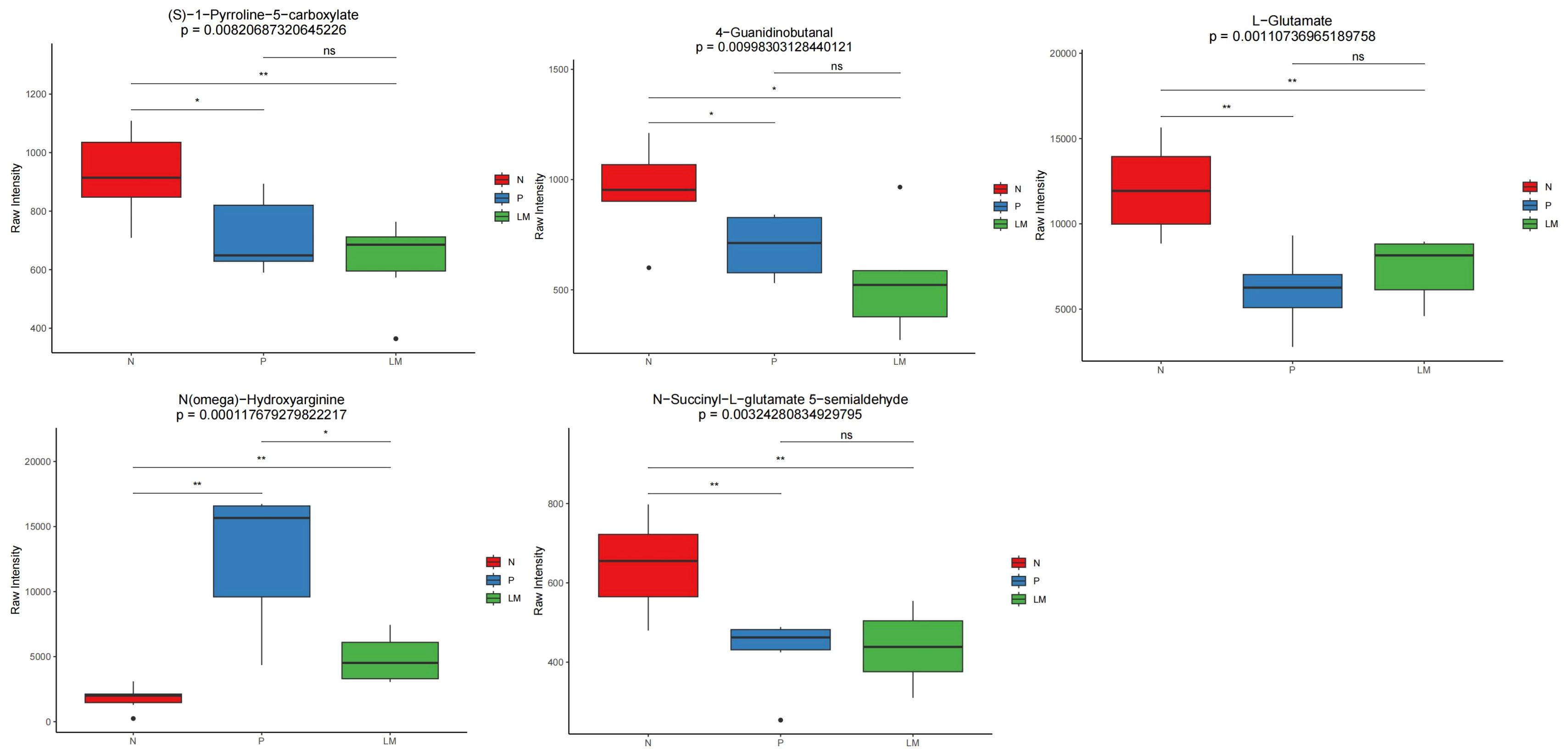 Five box plots depict raw intensity data comparisons for different compounds: (S)-1-Pyrroline-5-carboxylate, 4-Guanidinobutanal, L-Glutamate, N(omega)-Hydroxyarginine, and N-Succinyl-L-glutamate 5-semialdehyde. Each plot contrasts intensity levels among three groups: N (red), P (blue), and LM (green), with p-values indicating statistical significance. Horizontal lines denote significant differences, marked with asterisks.